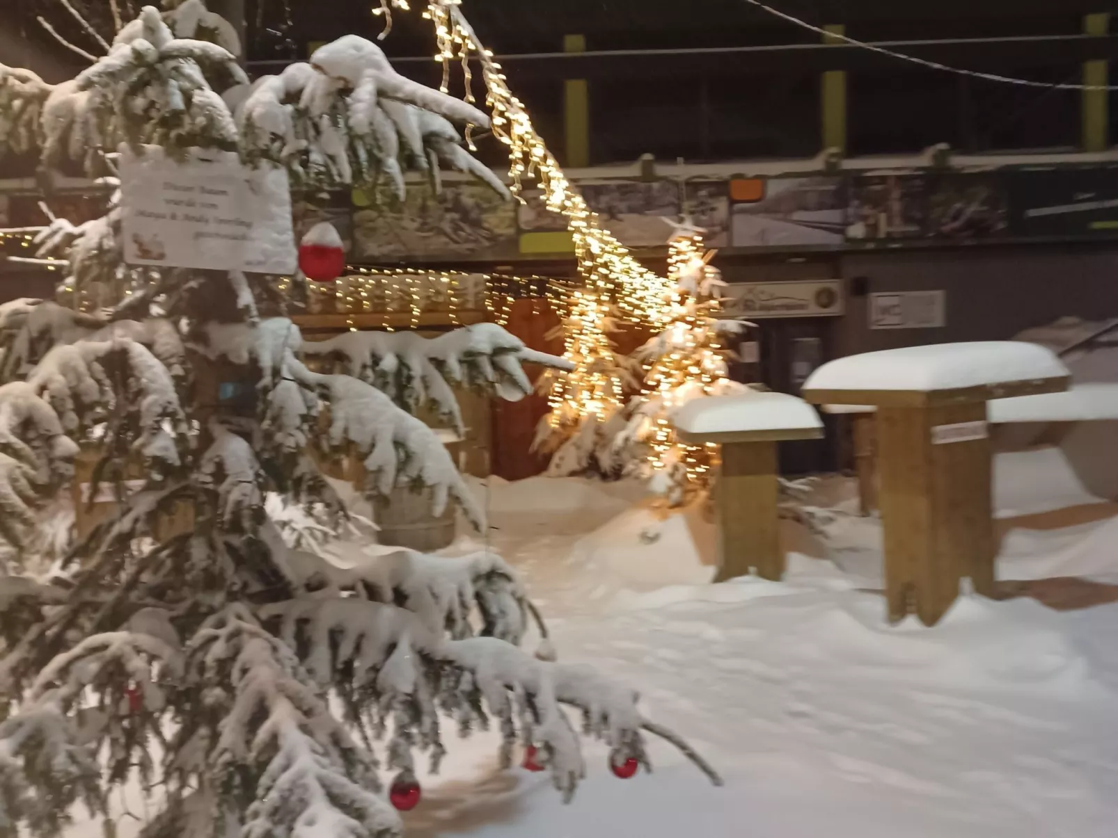 Walli OG Hahnenklee-Image-tags.info