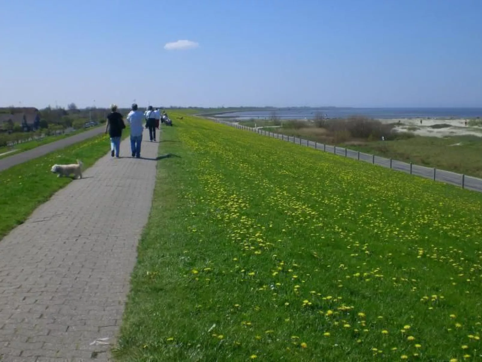 Mit Terrasse-Outside