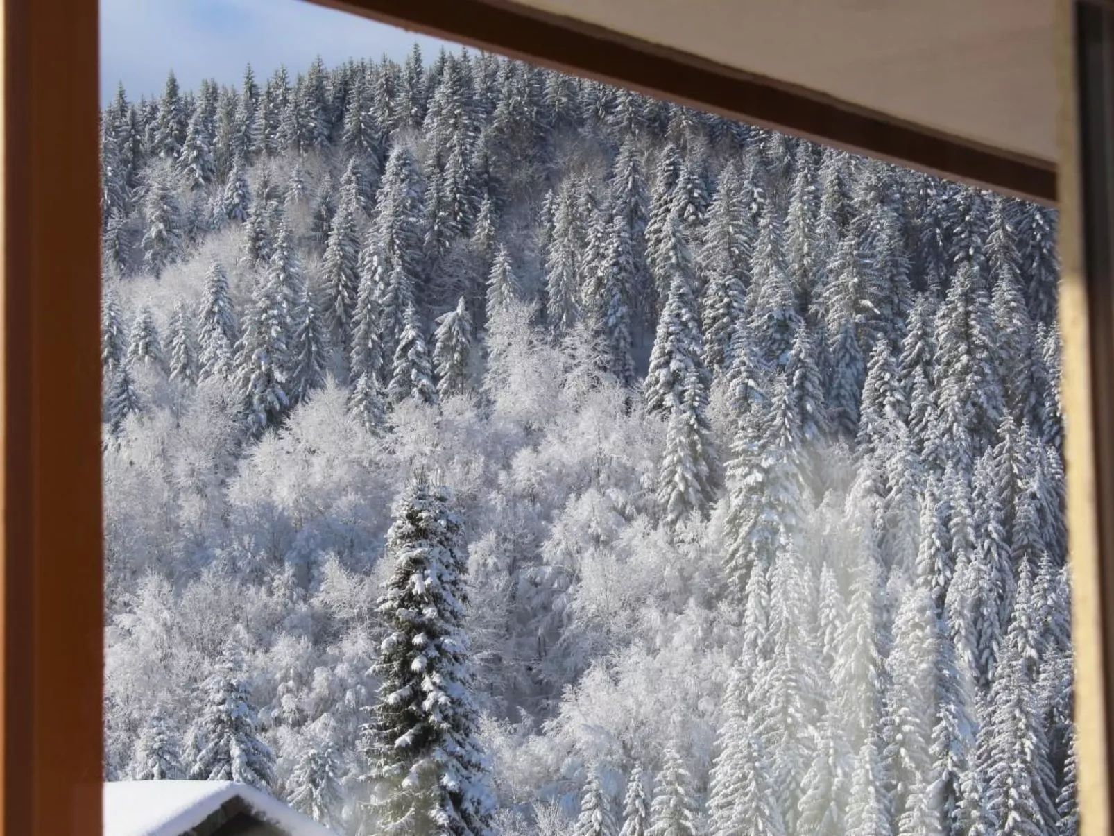 Kuschelnest Oase-Image-tags.info