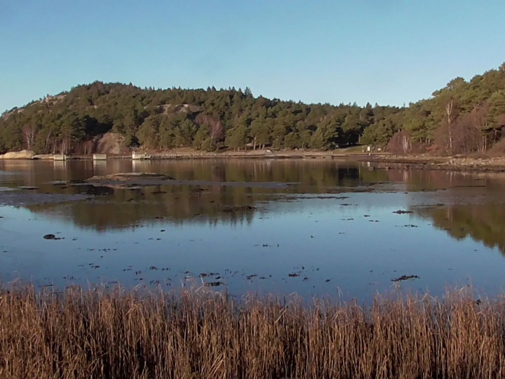 Wunderschönes Cottage "Traum von Wald und Meer"-Draußen