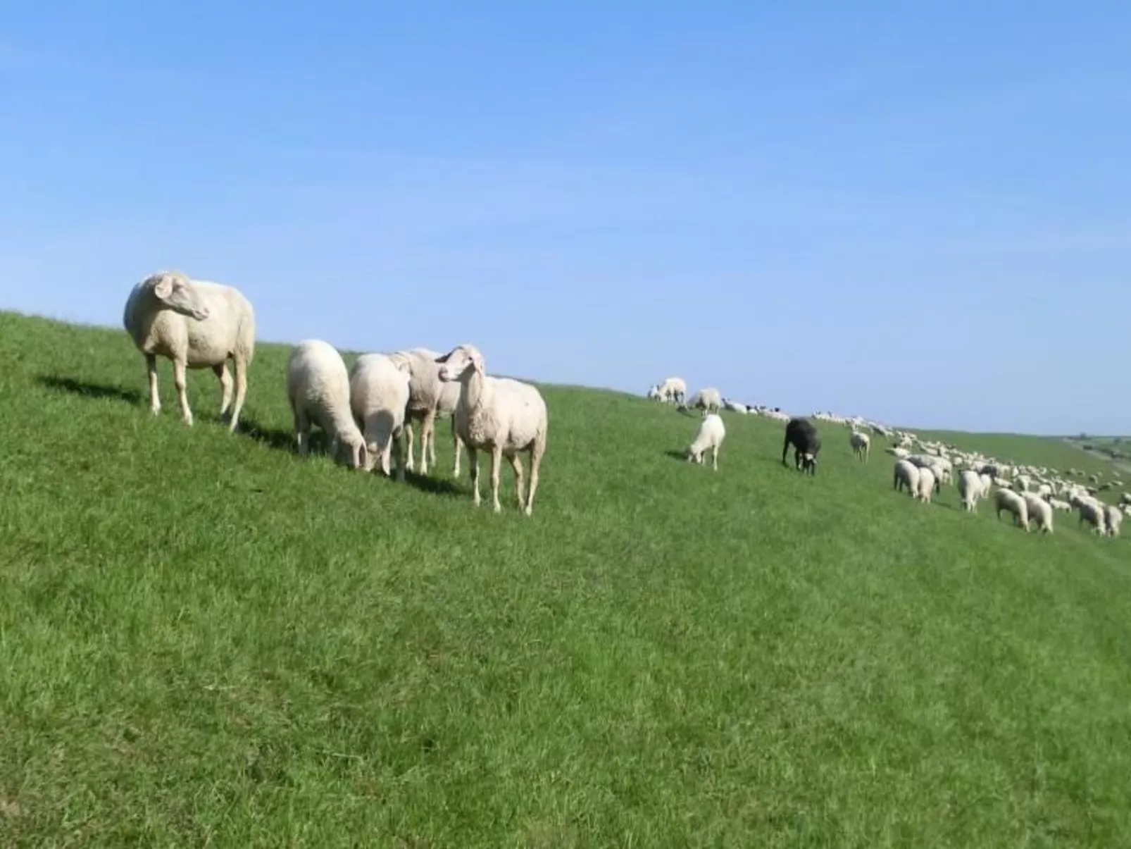Gemütliche Ferienwohnung in Upleward mit Balkon-Image-tags.info