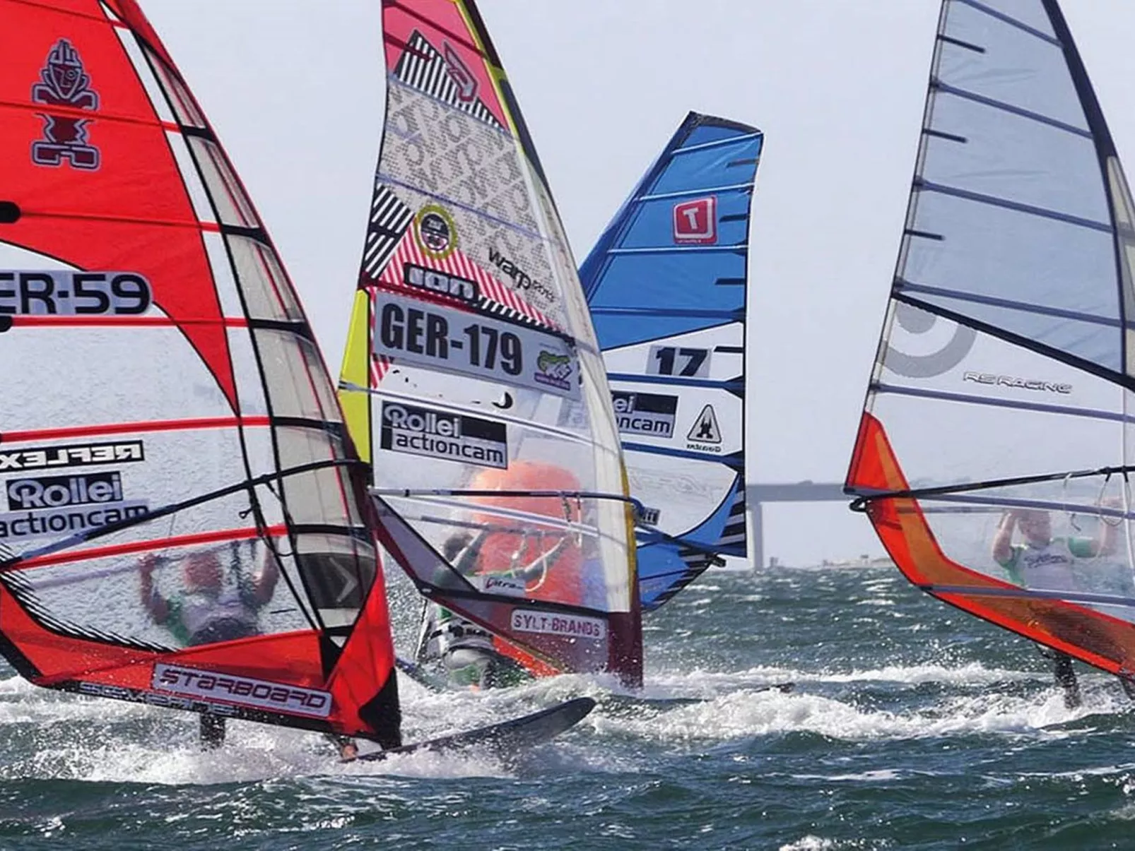 Zwergmöwe in Neue Tiefe-Draußen