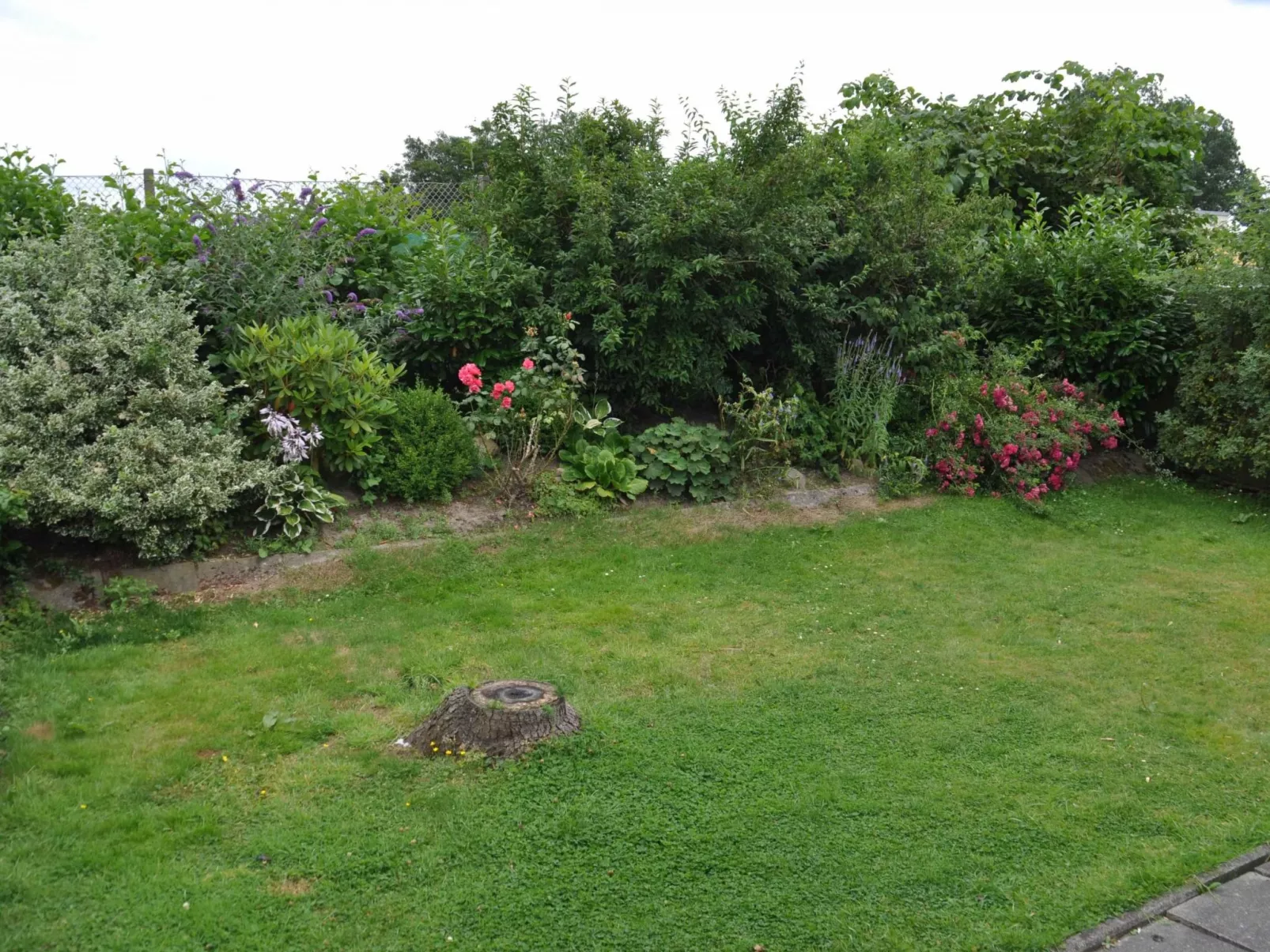 Minimi-Image-tags.info