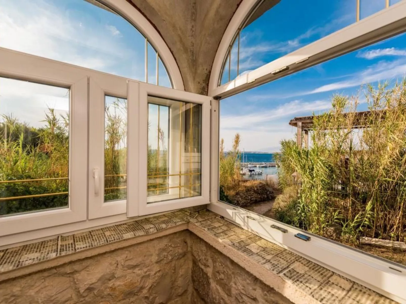 Delfin mit Meerblick - Agentur TA Leut-Image-tags.info