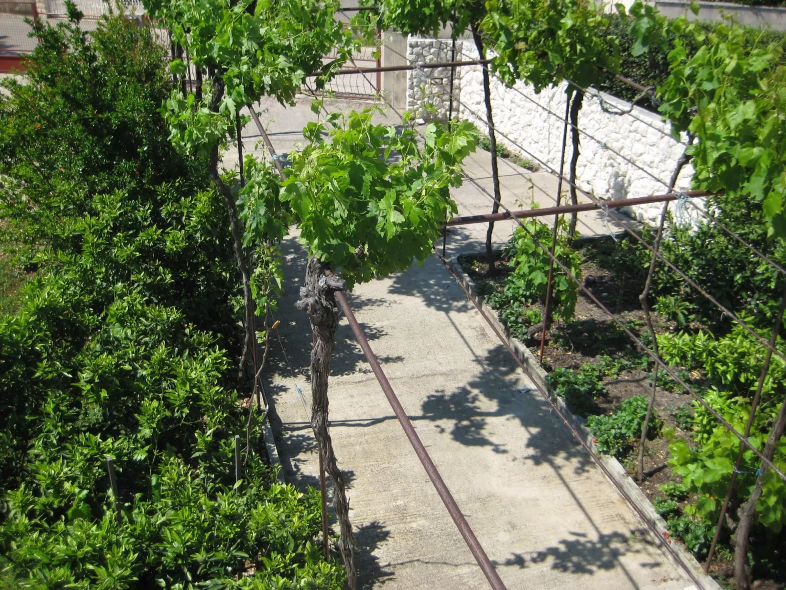 "Biserka" direkt am Strand-Dehors