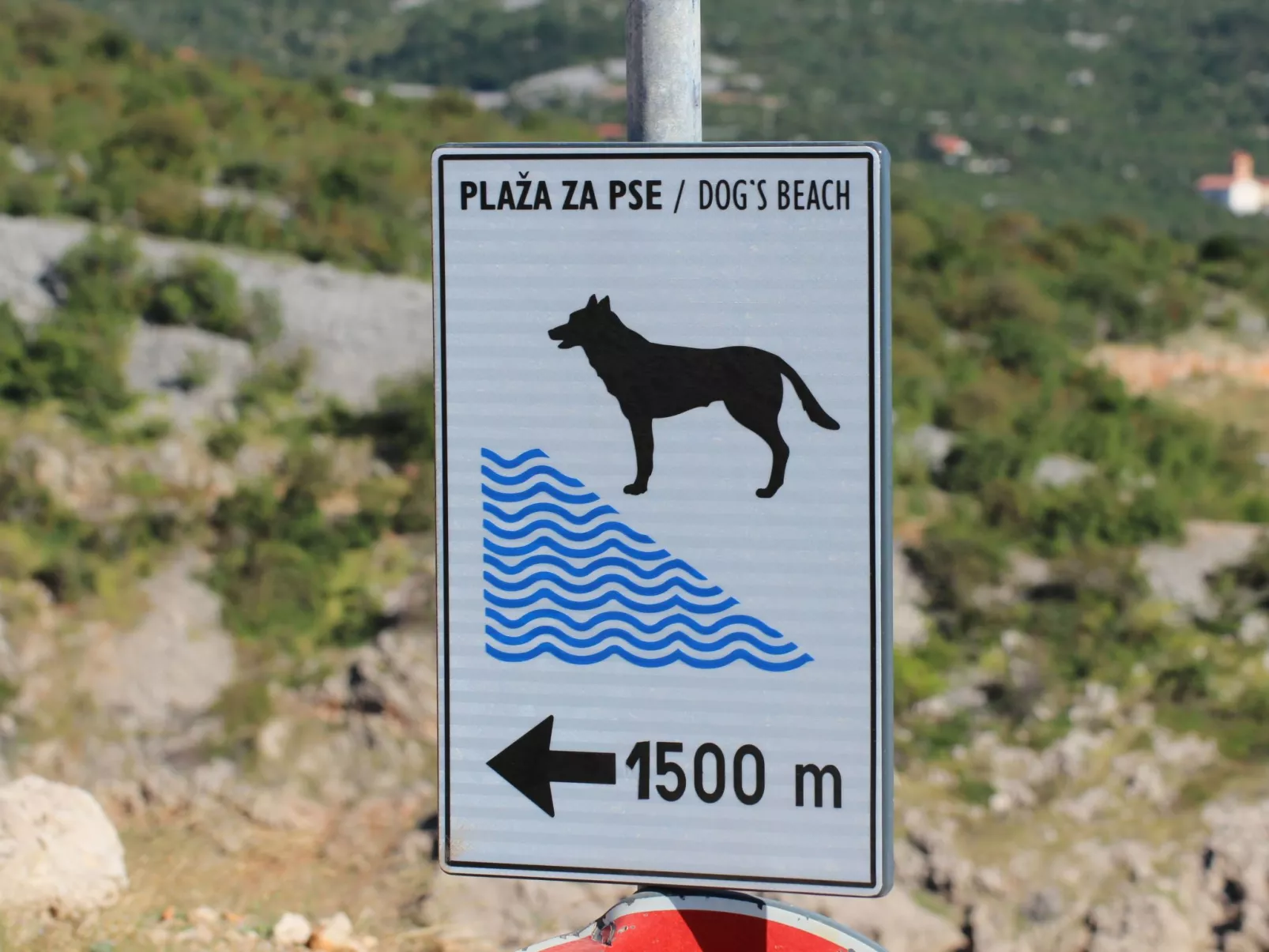 "Mihaljevic Tatjana"-Dehors