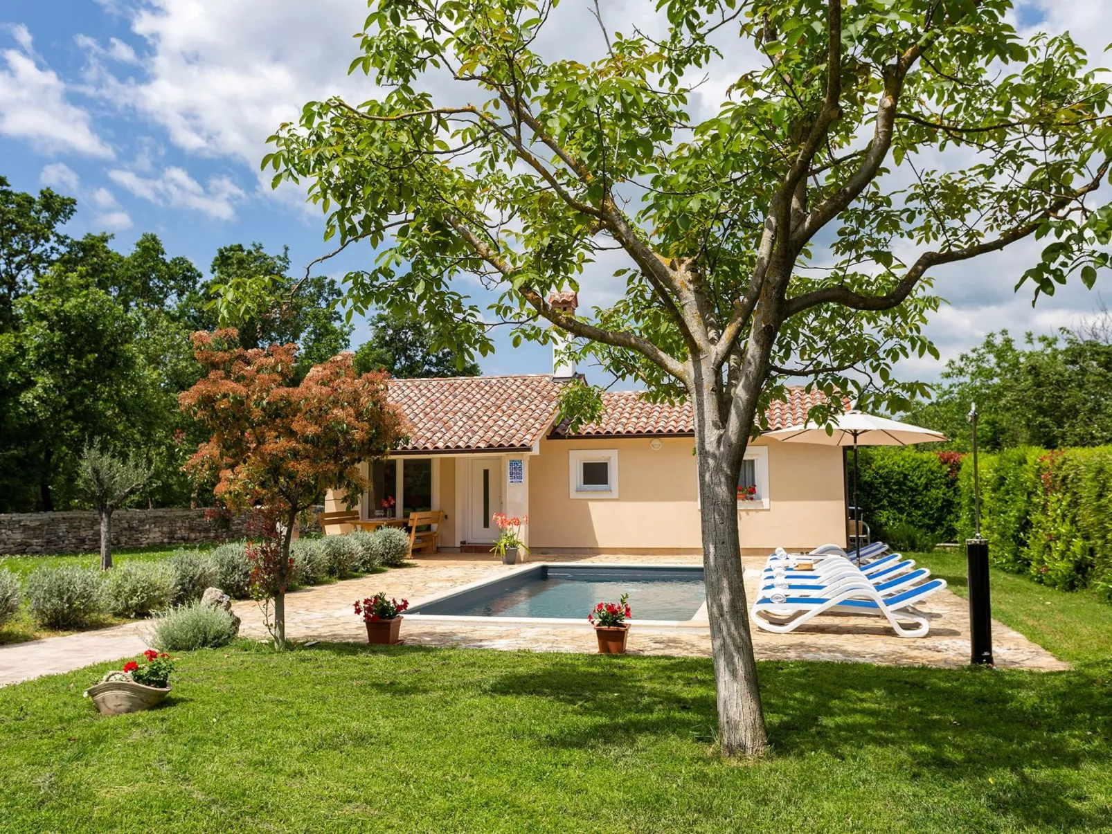 Ferienvilla Darko mit Schwimmbad-Outside