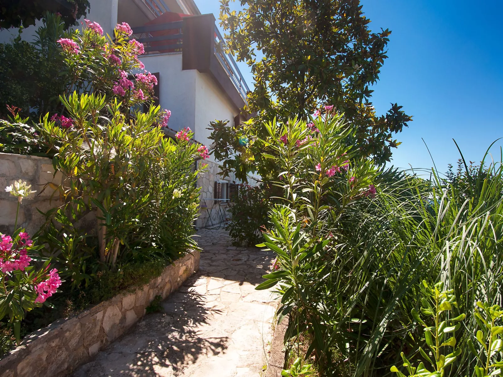 Studio-Wohnung "Olia Studio" mit Terrasse-Dehors