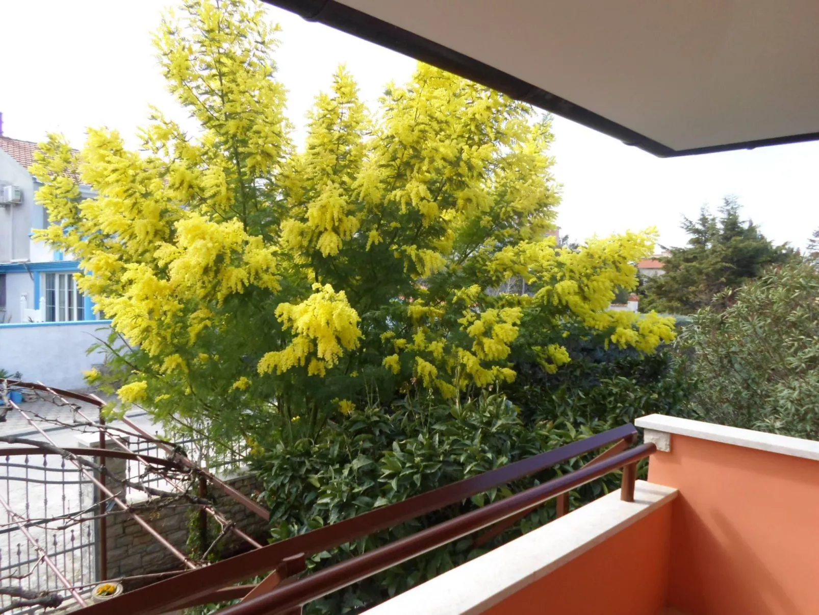 Wohnung "MaVeRo" direkt am Strand-Image-tags.info