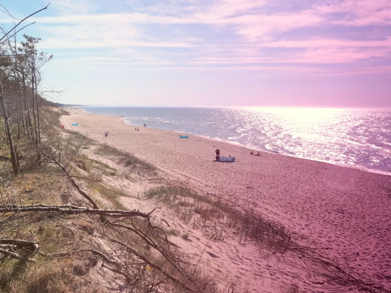 "Paradise Star Bobolin"-Outside