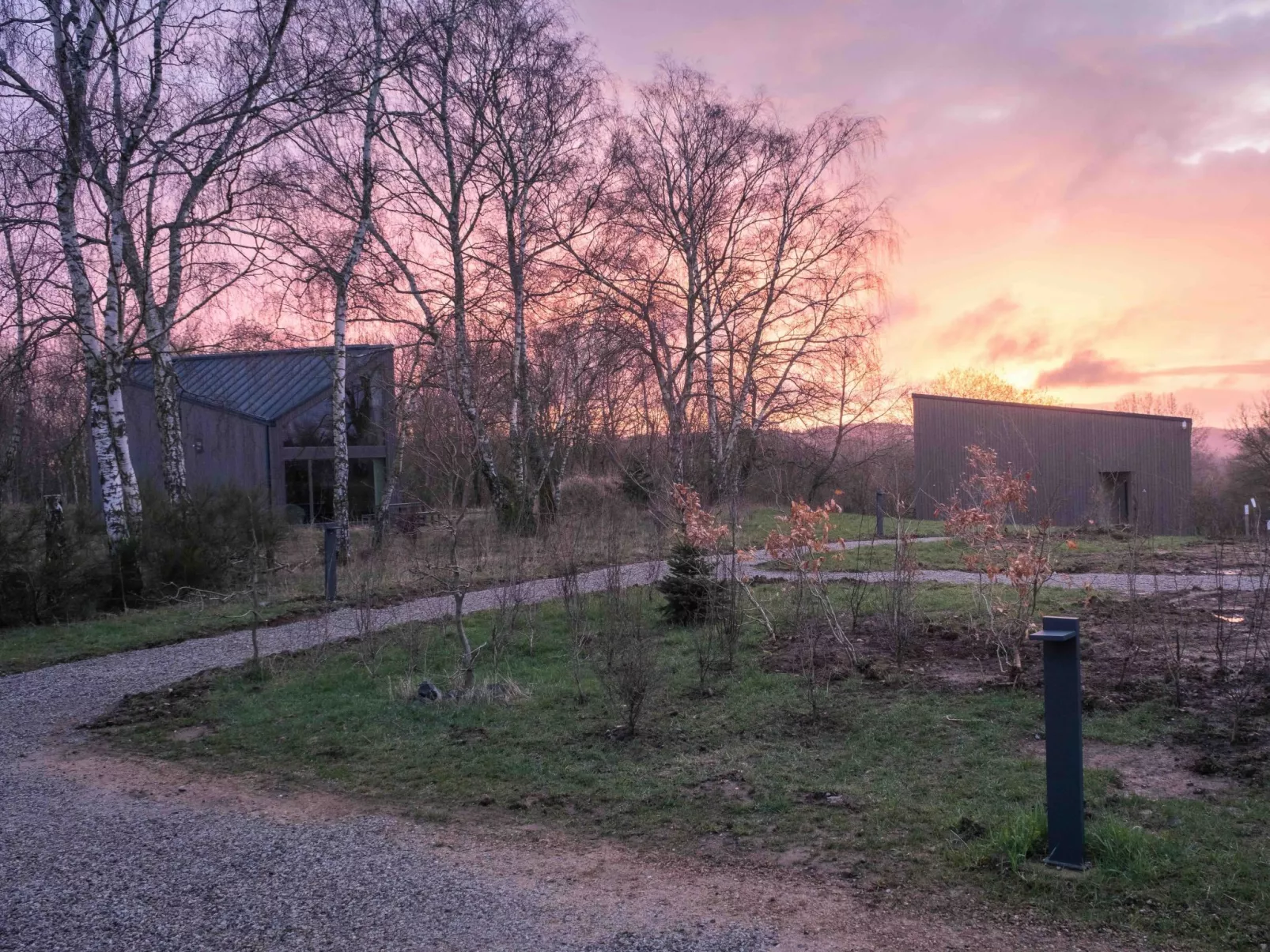 (B) Cabin Stars-Outside