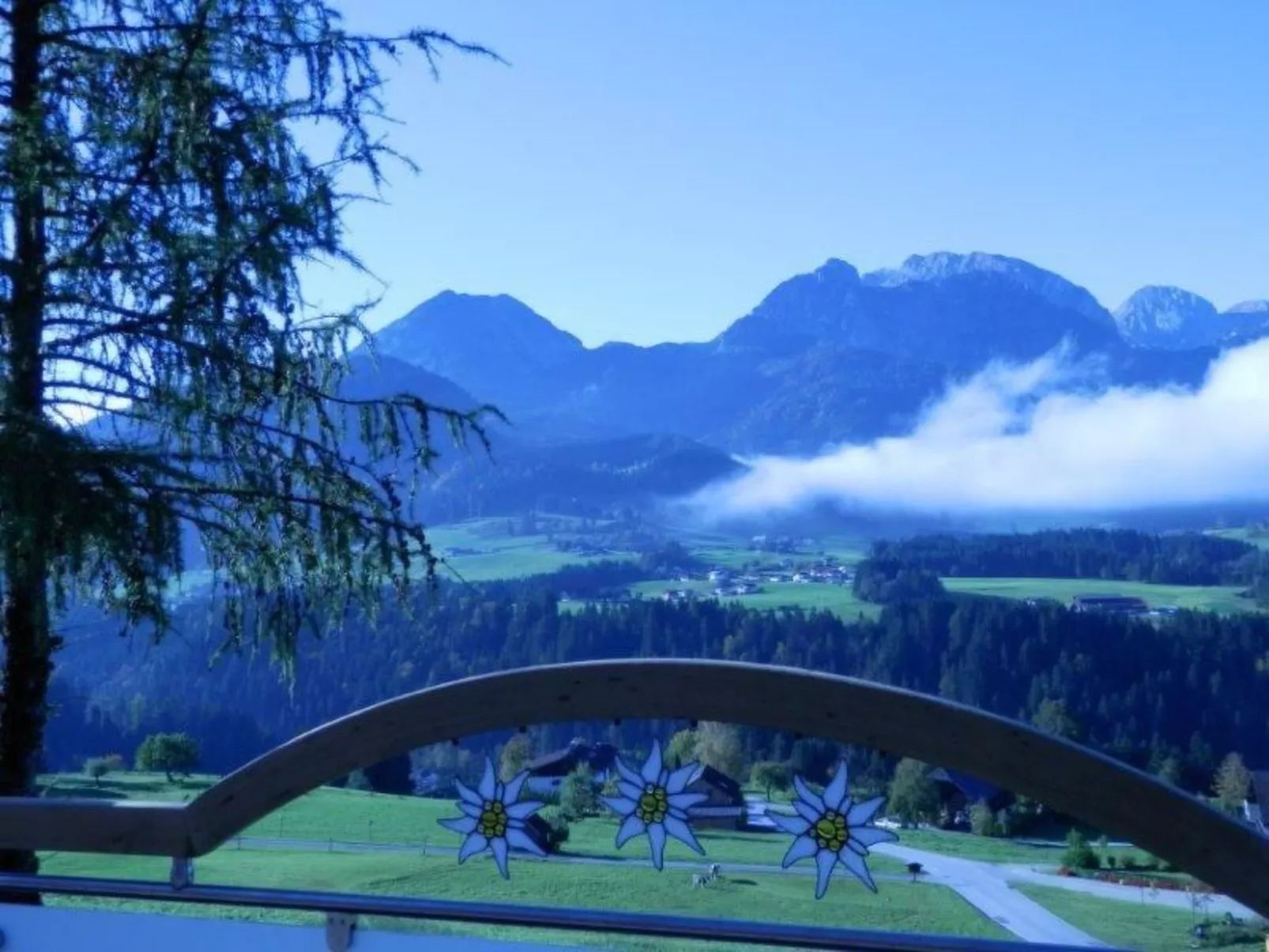 Luxusappartment-Image-tags.info