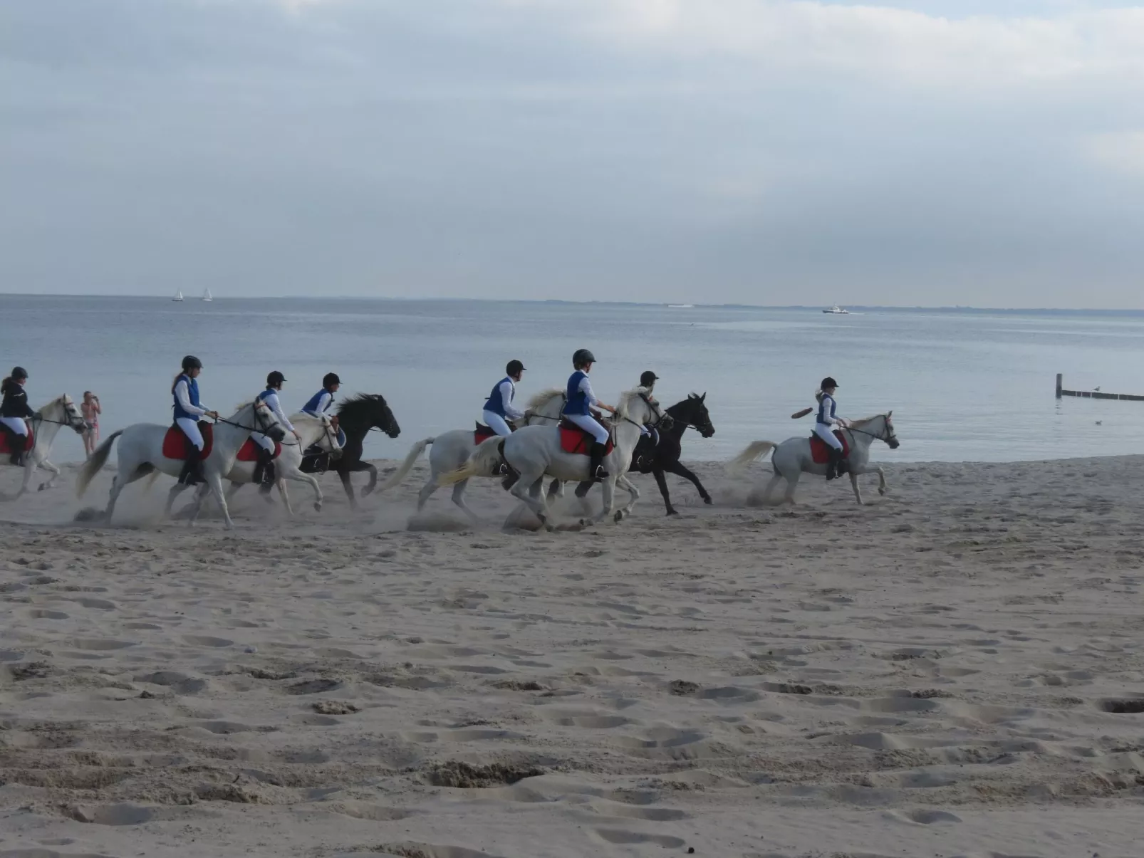 U2 Schlehenkoppel 5-Dehors