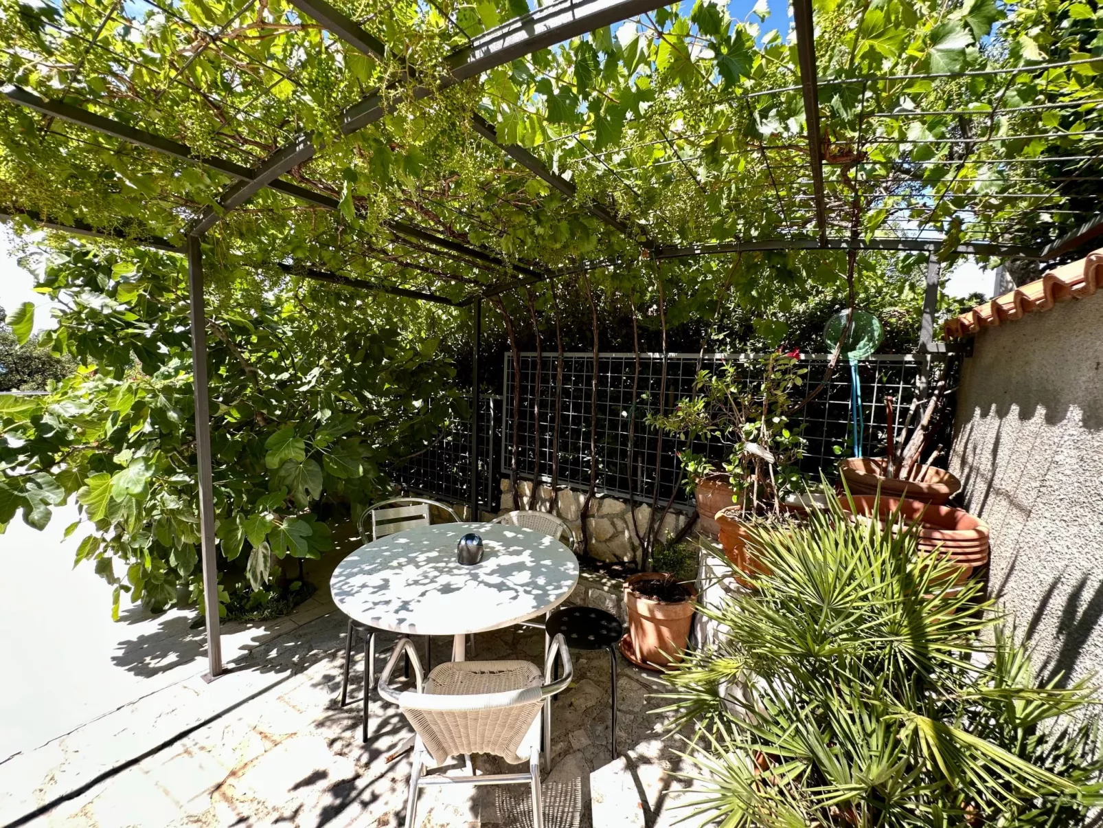 Wohnung Velvet Vista 4-Outside