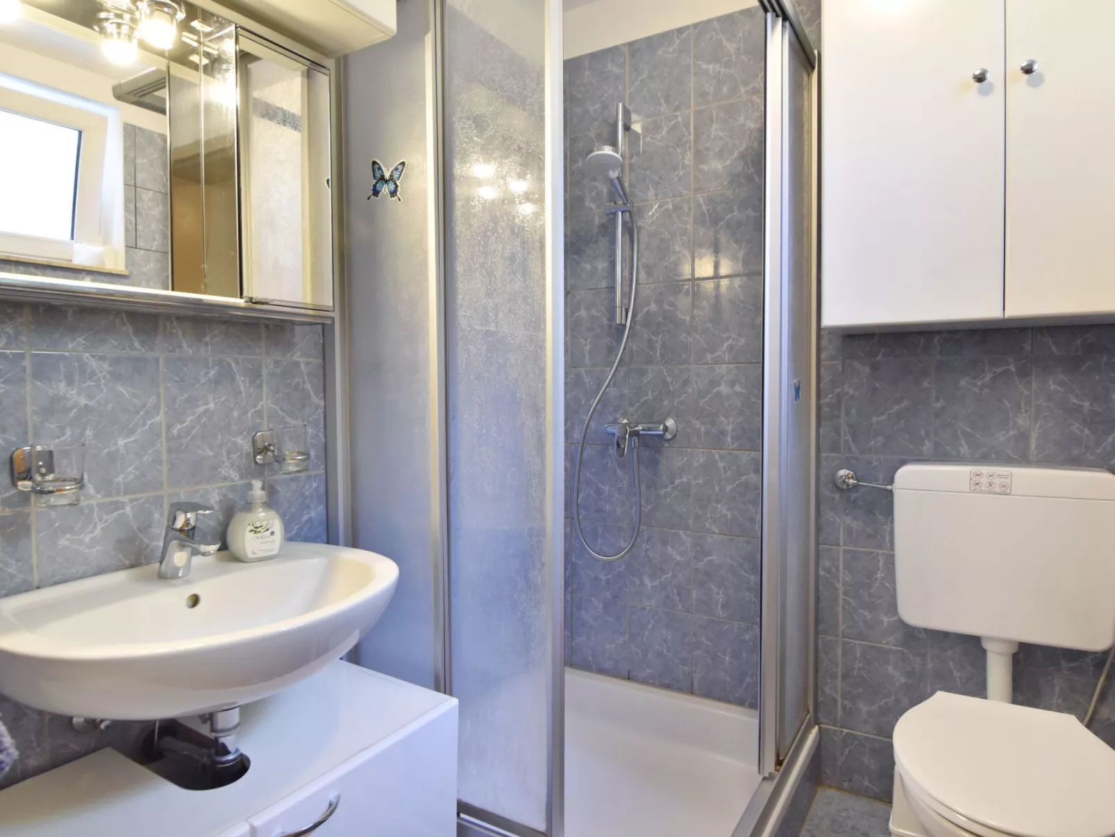 Geräumige Kellerwohnung in der Nähe von Umag-Inside