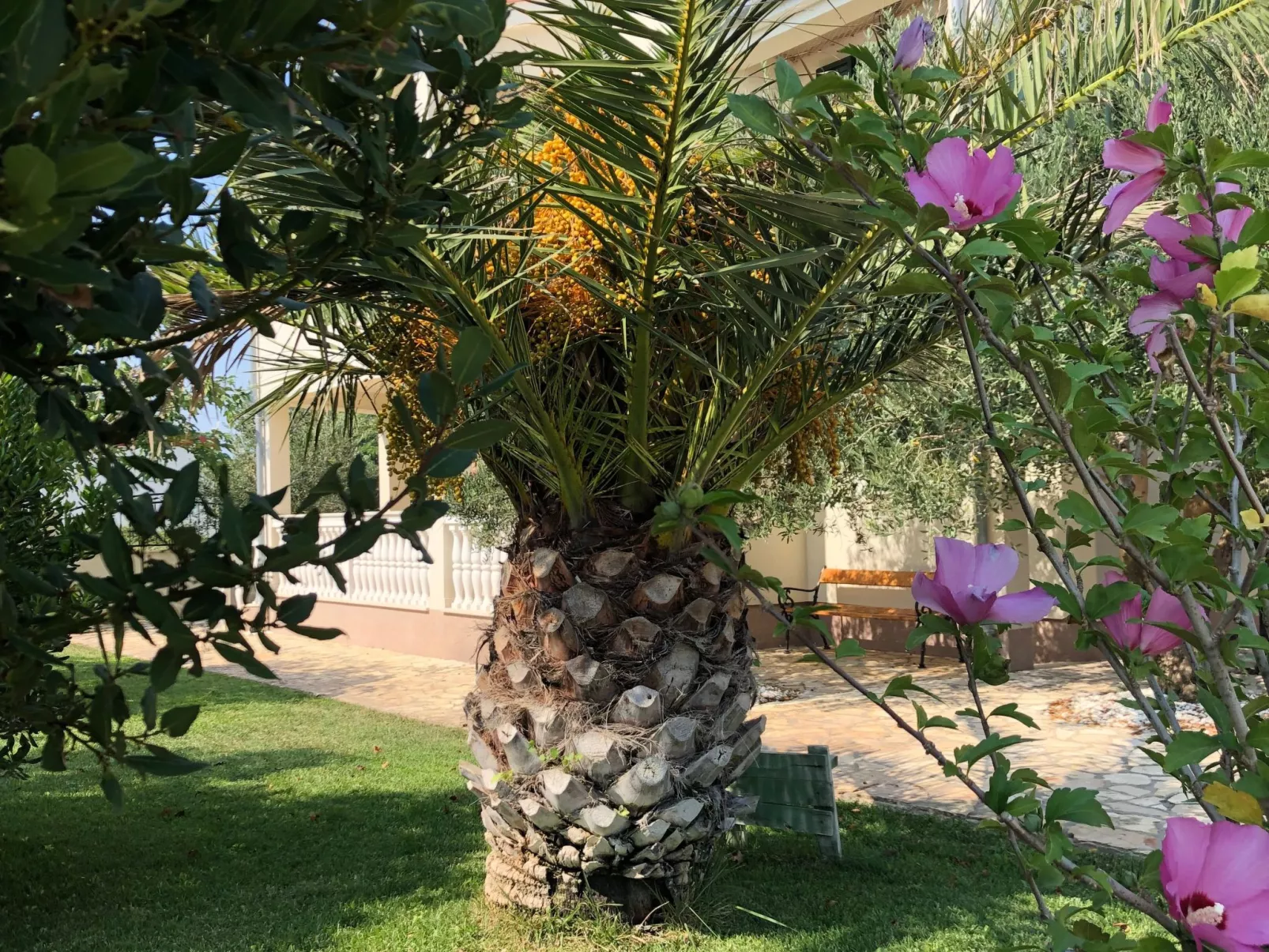 Villa Olive Grove-Outside