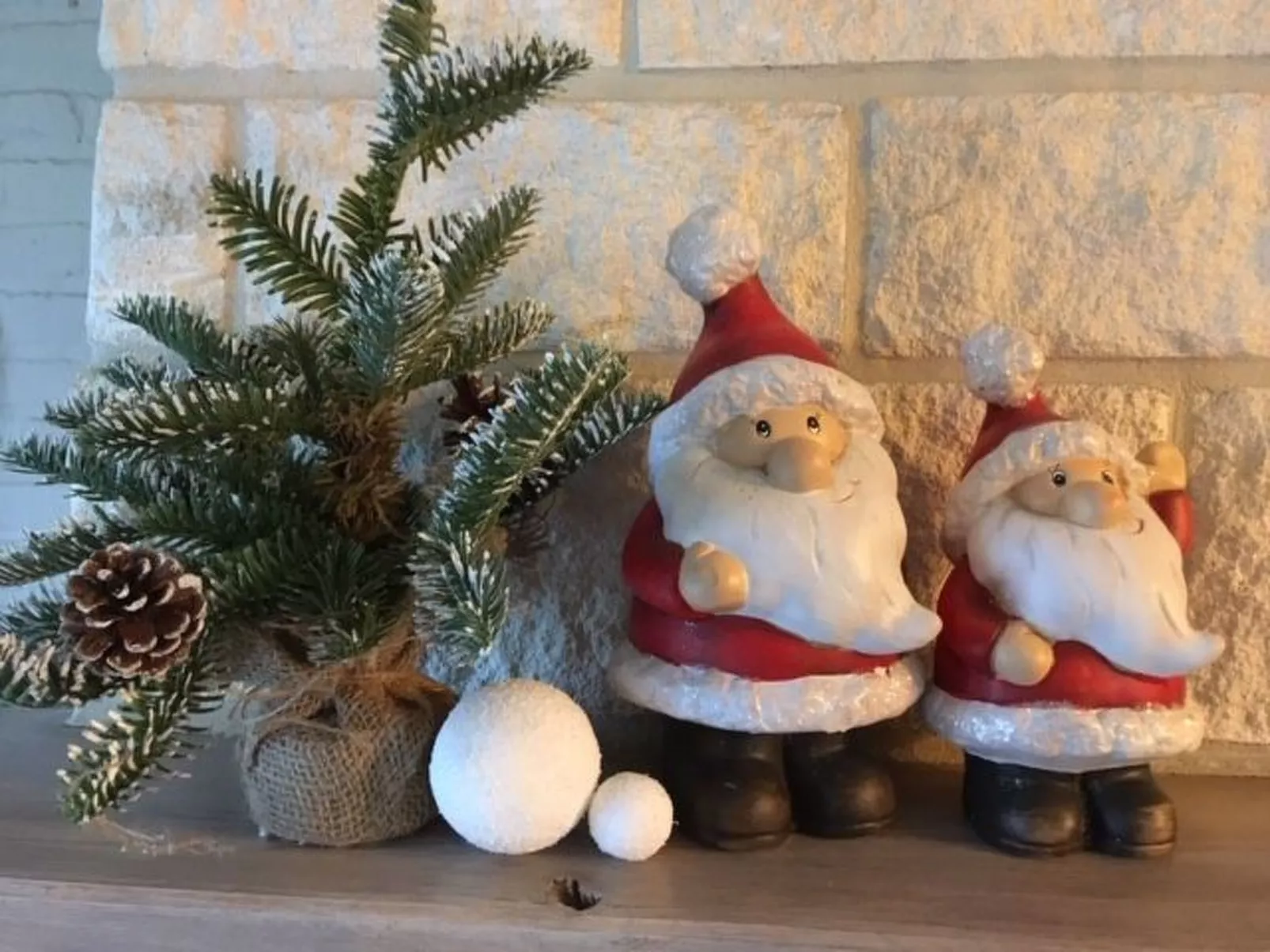 Zonneweelde bei Dünen und Wald-Outside