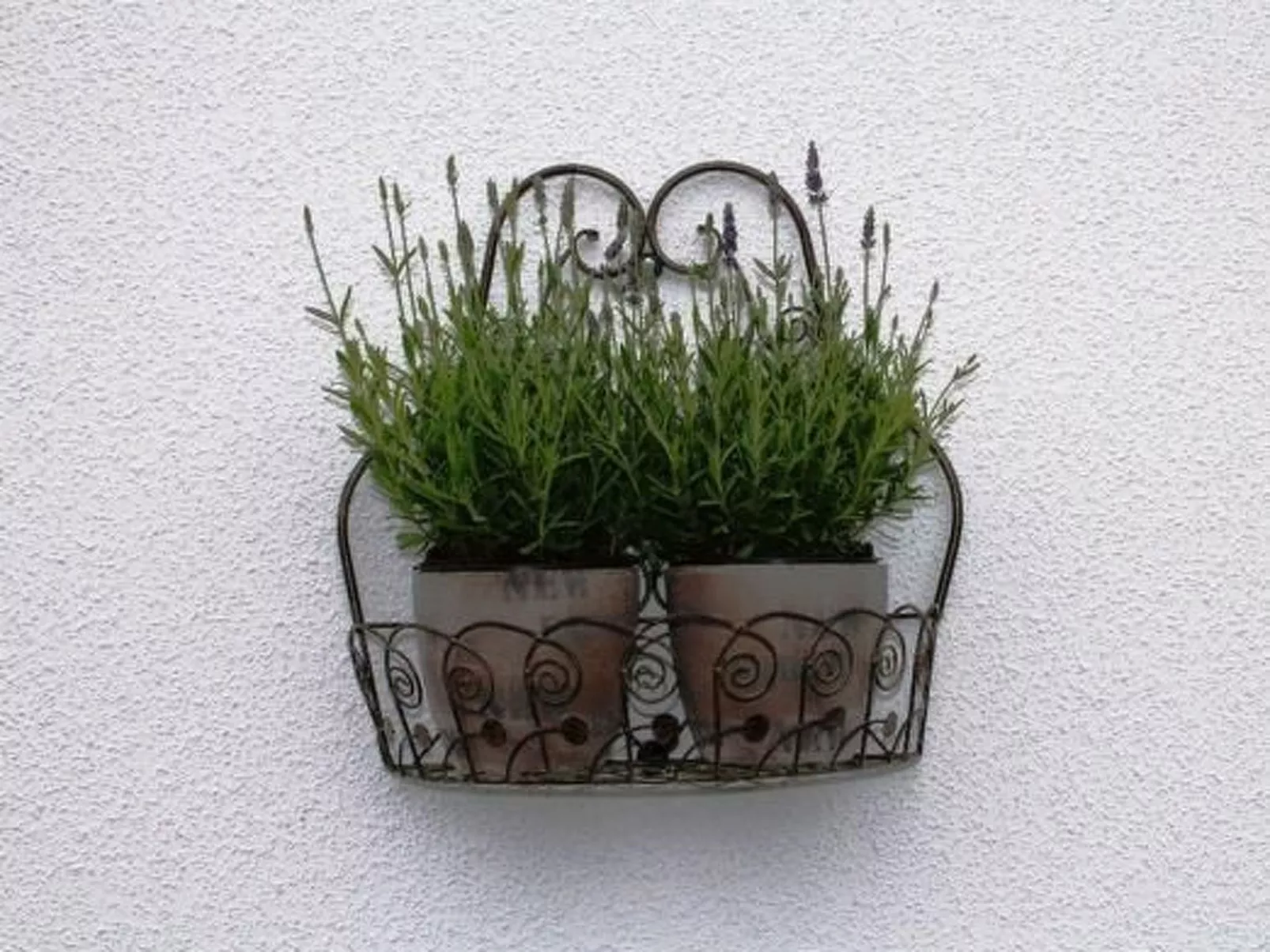 Fischer‘s 5 Sterne Ferienhaus Rügen-Image-tags.info