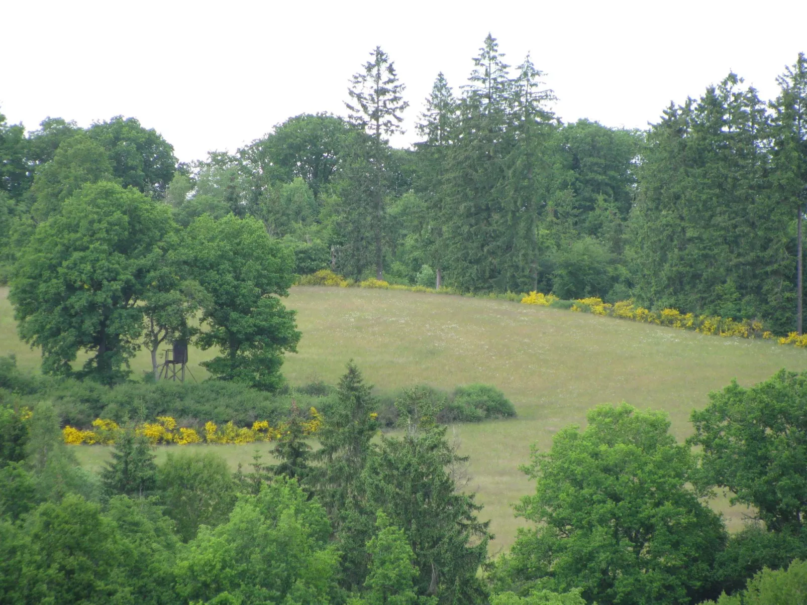 Casa Marlies in Daun-Draußen