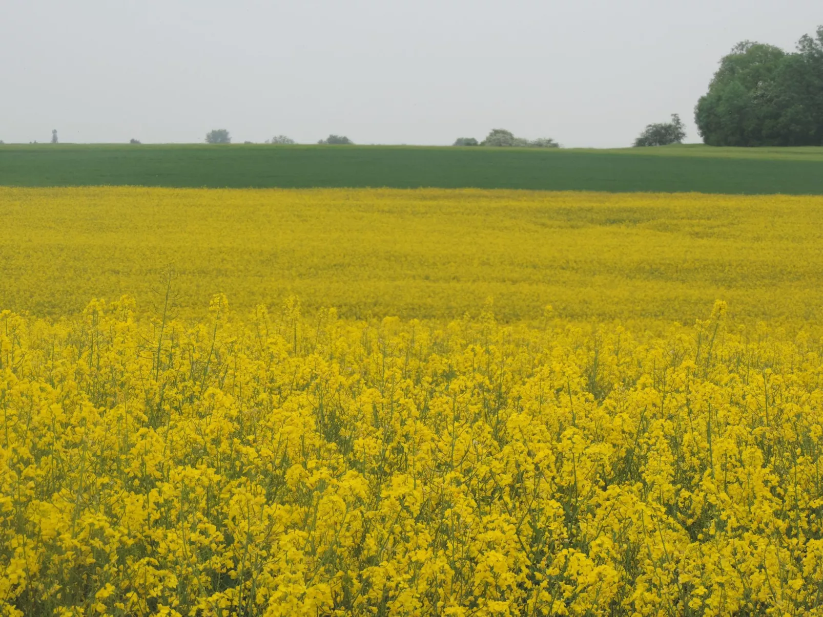 Gartenblick in Vöhl-Basdorf-Image-tags.info