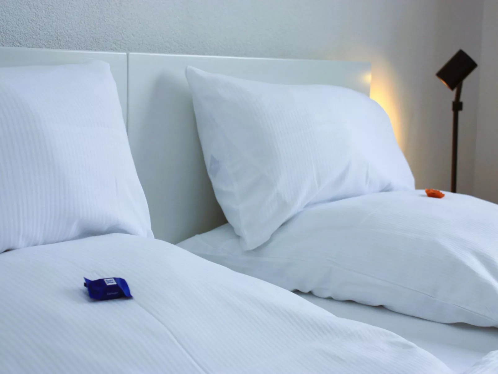 Wohlfühloase für Natur- und Gartenliebhaber-Dedans