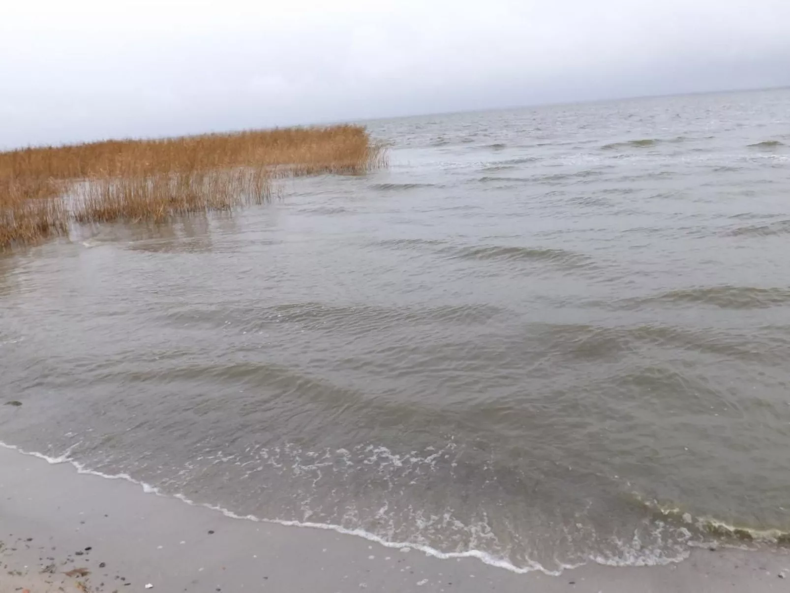 "Saaler Bodden"-Draußen