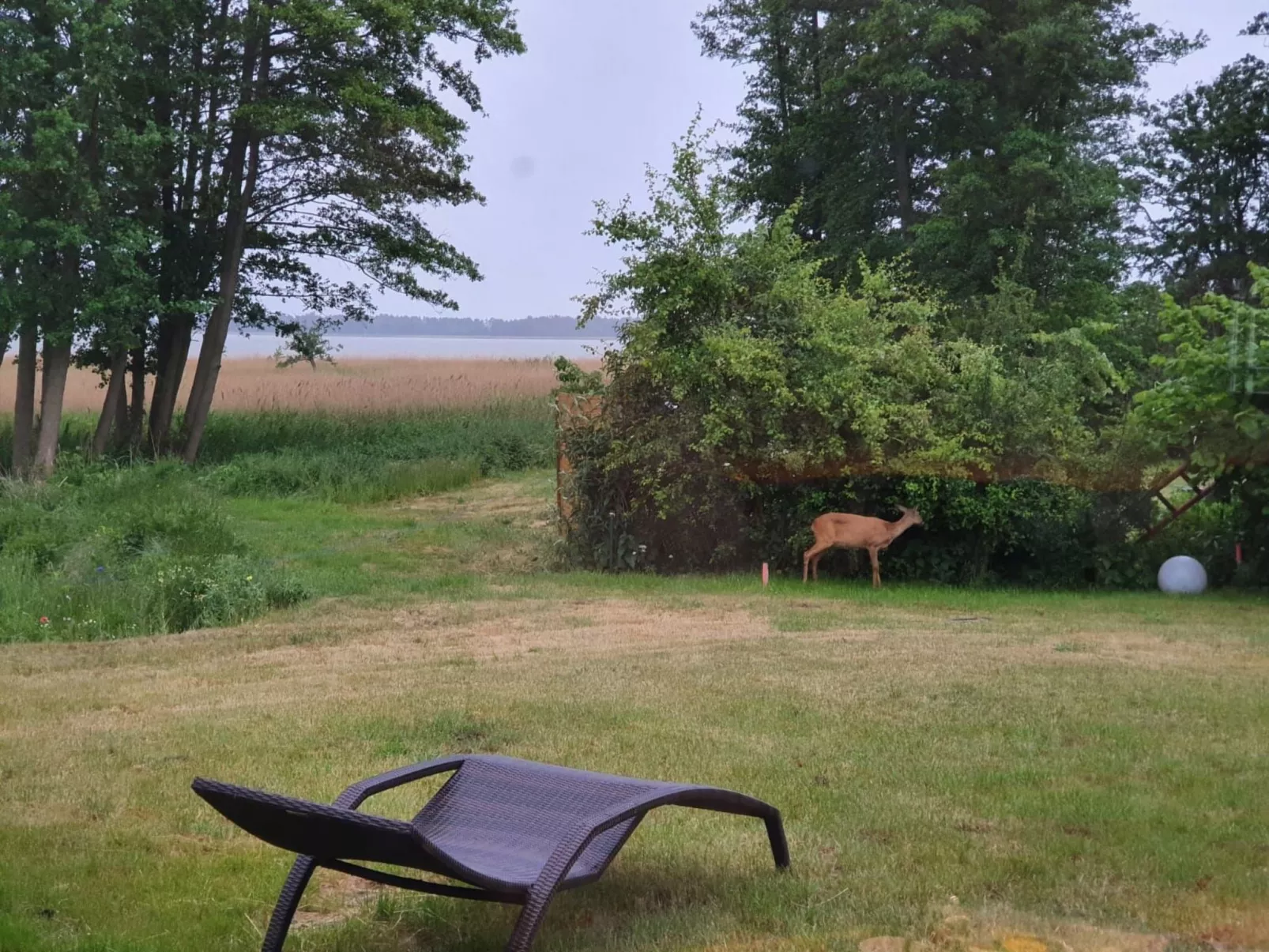 Admiral's Corner Luv-Image-tags.info