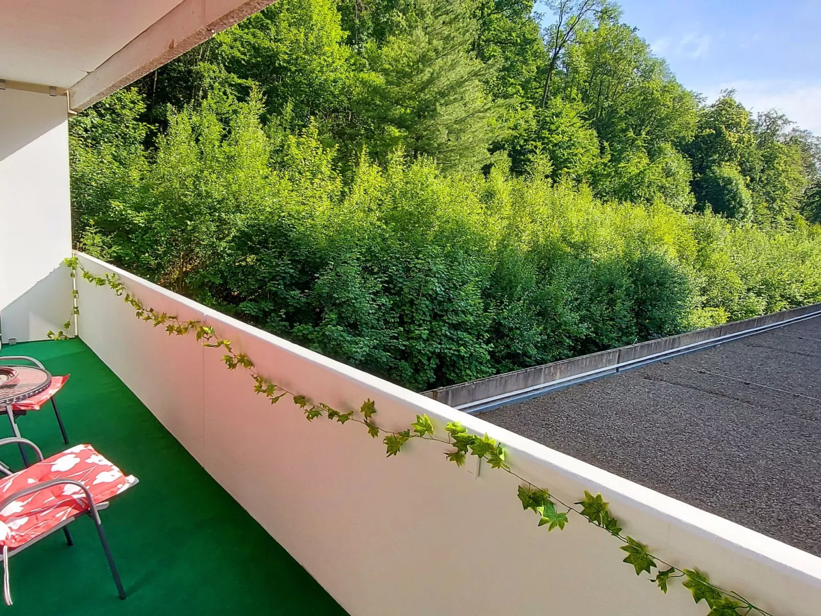 Wanderfalke-Image-tags.info