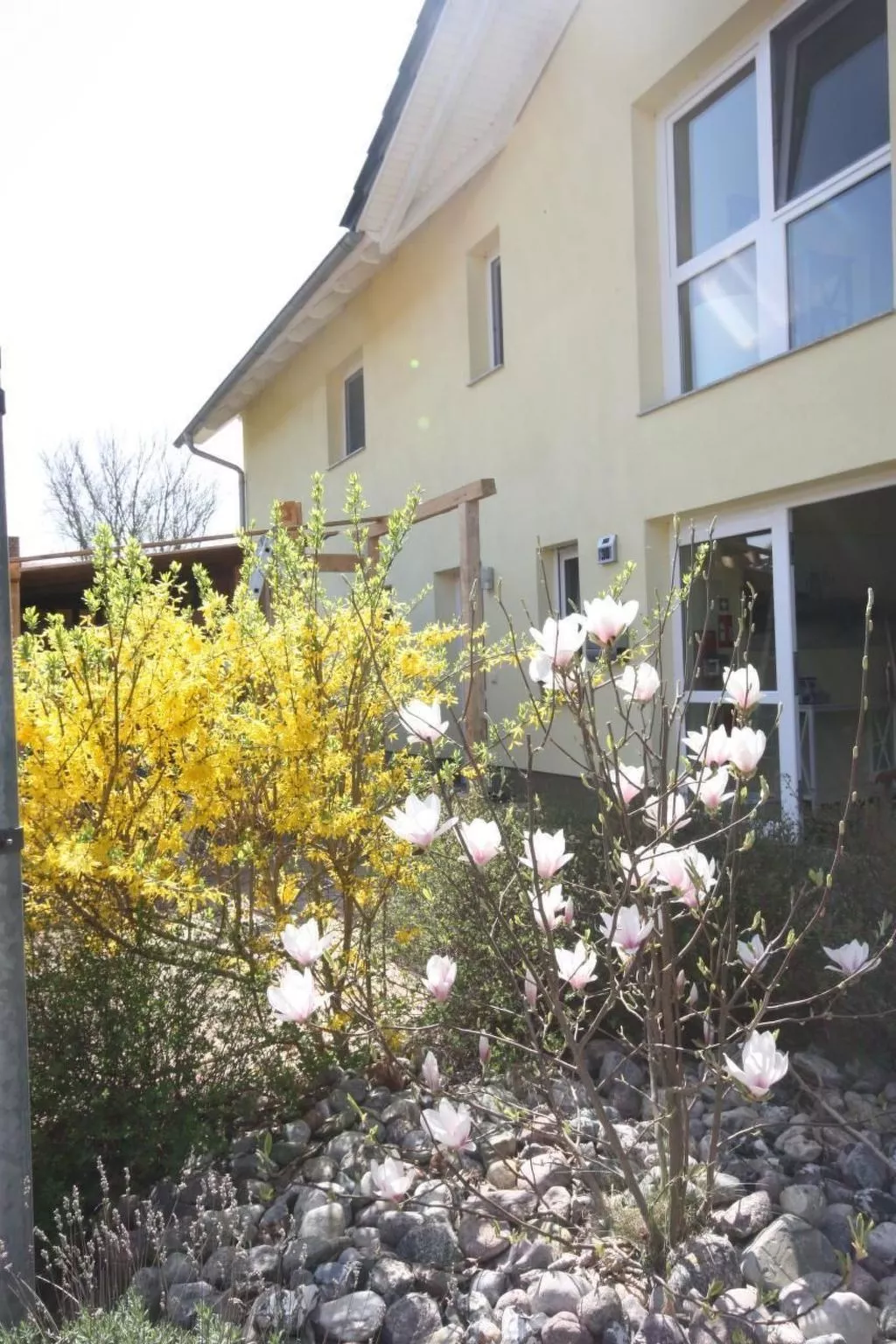 Wohnung in Koserow mit Garten und Grill und Neben dem Strand-Outside