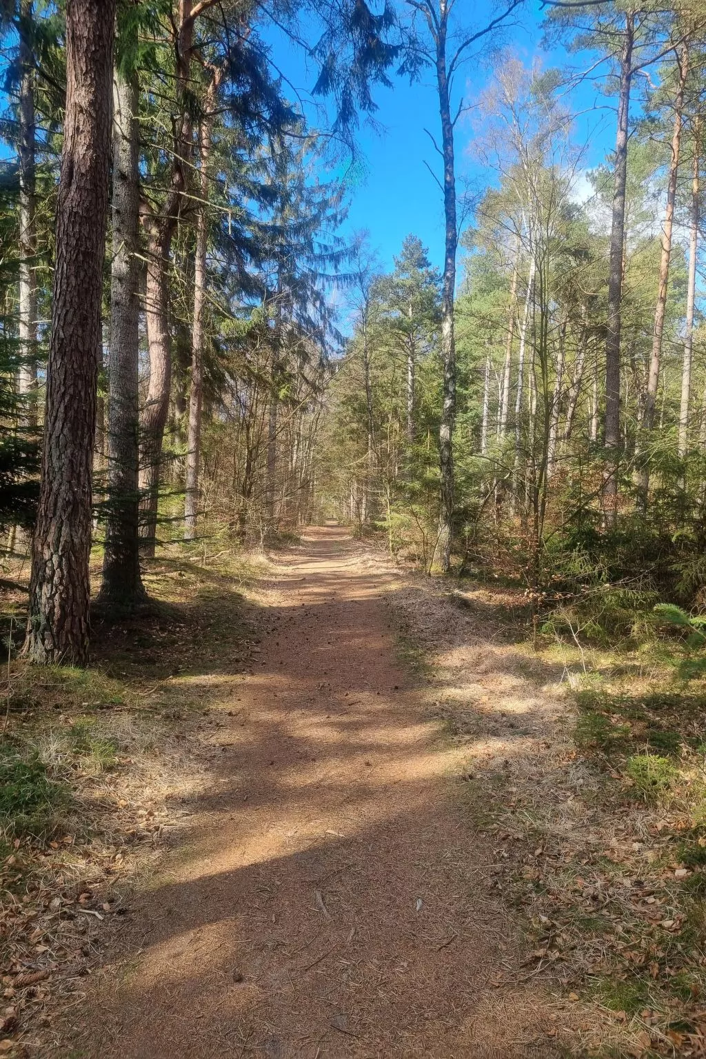 Gemütliche Ferienwohnung für zwei Personen mit sonniger Südterrasse-Draußen