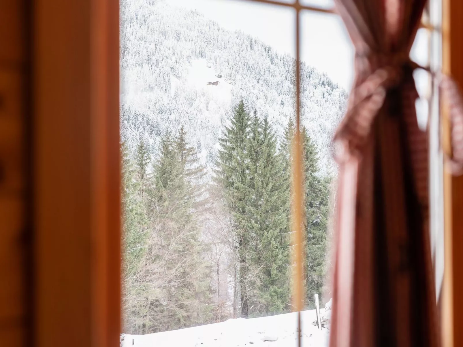 Wohnung in Sankt Gallenkirch mit Terrasse, Grill-Outside