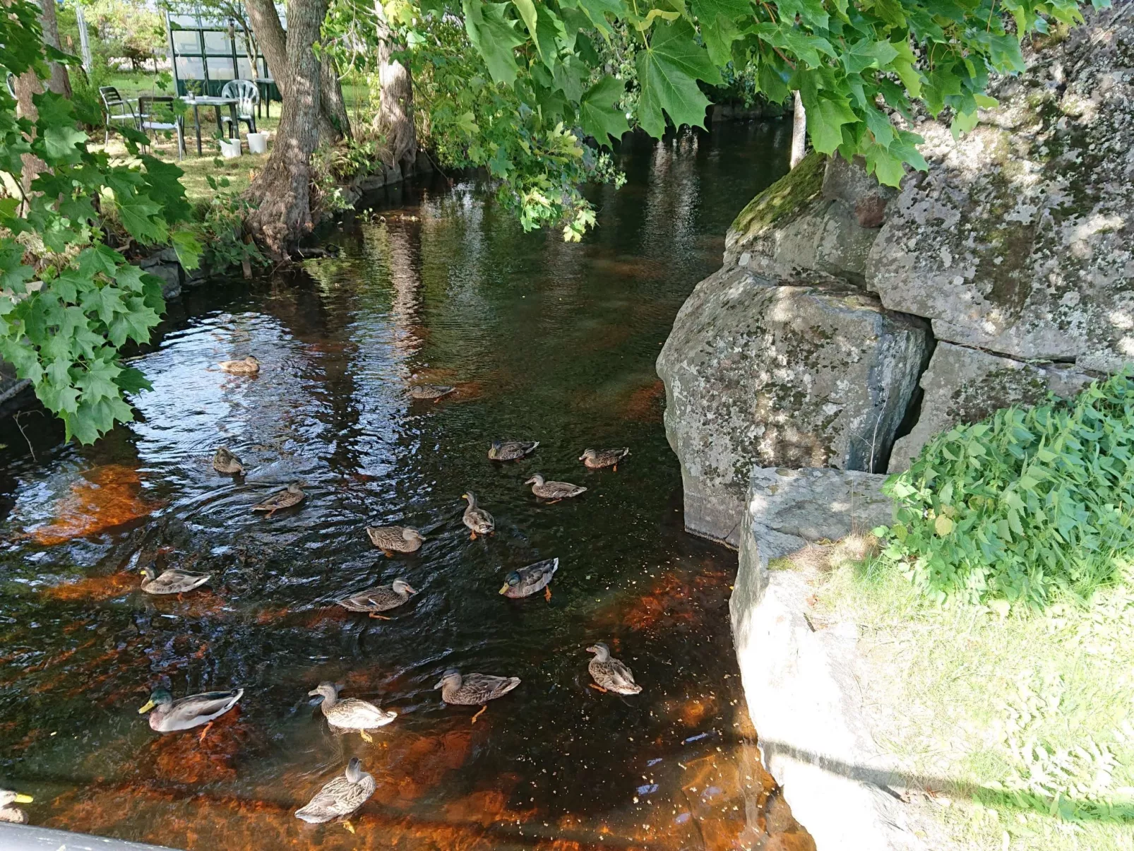Familienfreundliches Ferienhaus mit großem Garten-Dehors
