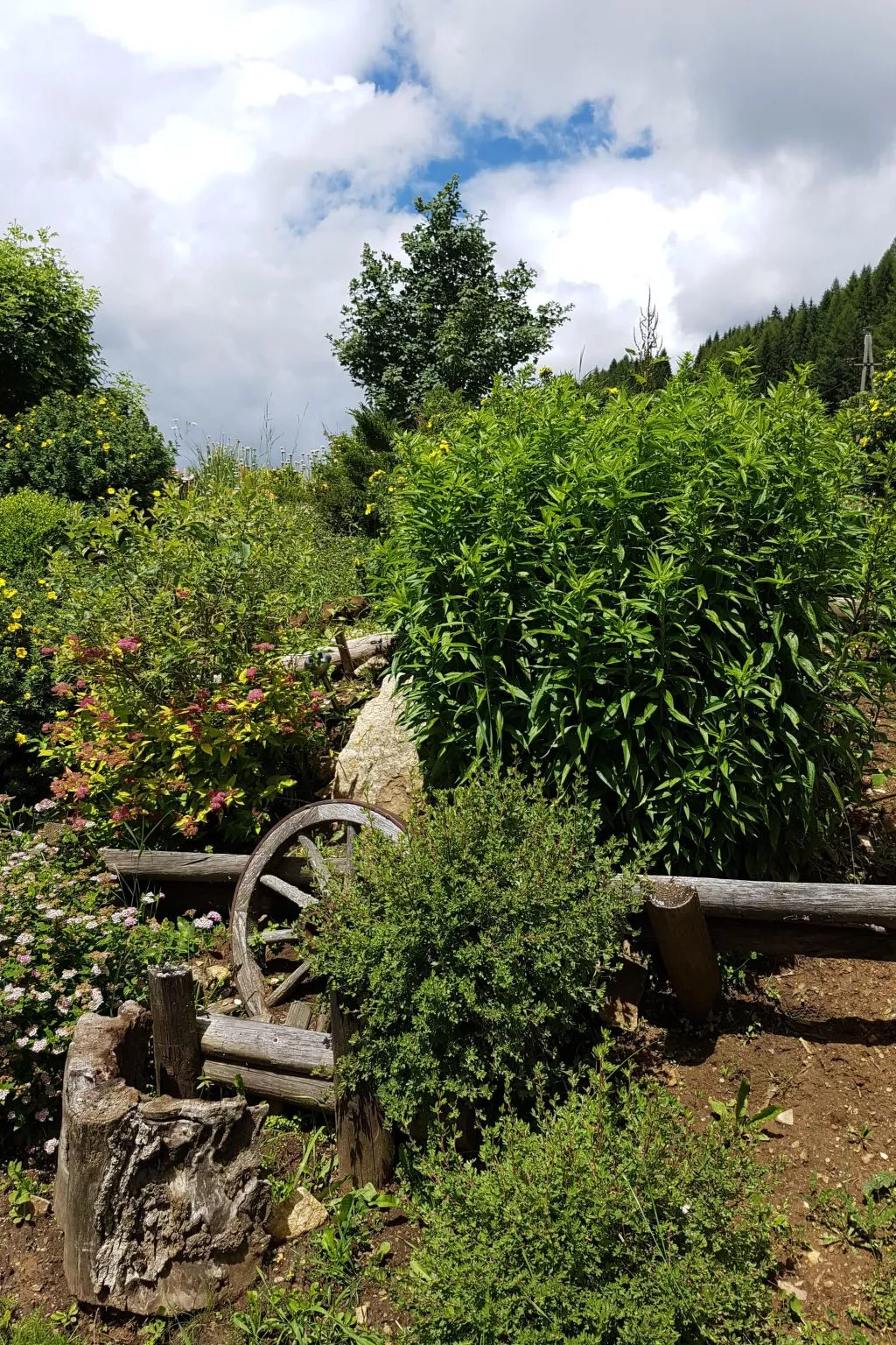 Almhütte Helmut Dischgerbrent in Sankt Margarethen-Outside