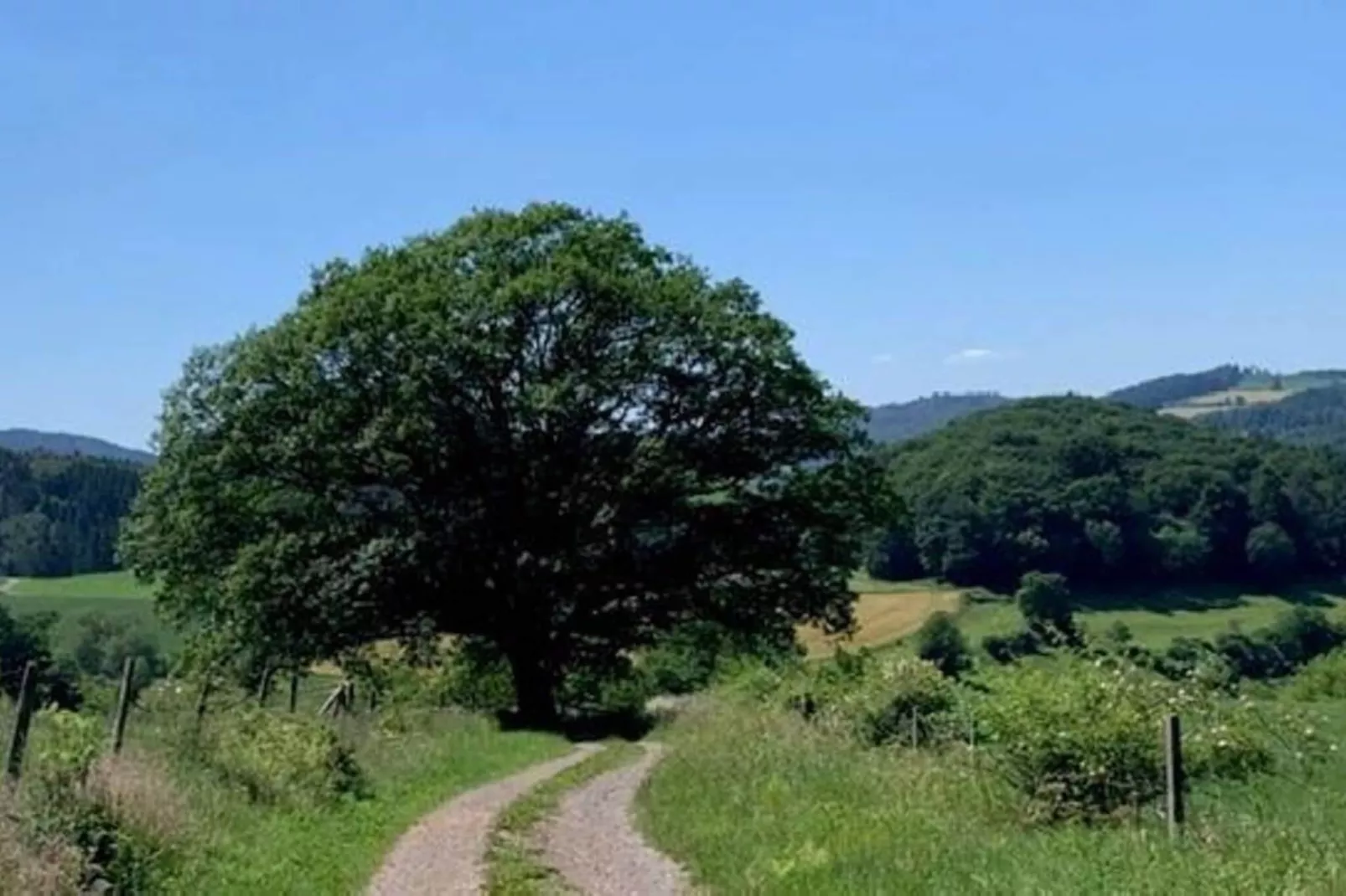 Holzhaus Willingen-Areas summer 5km