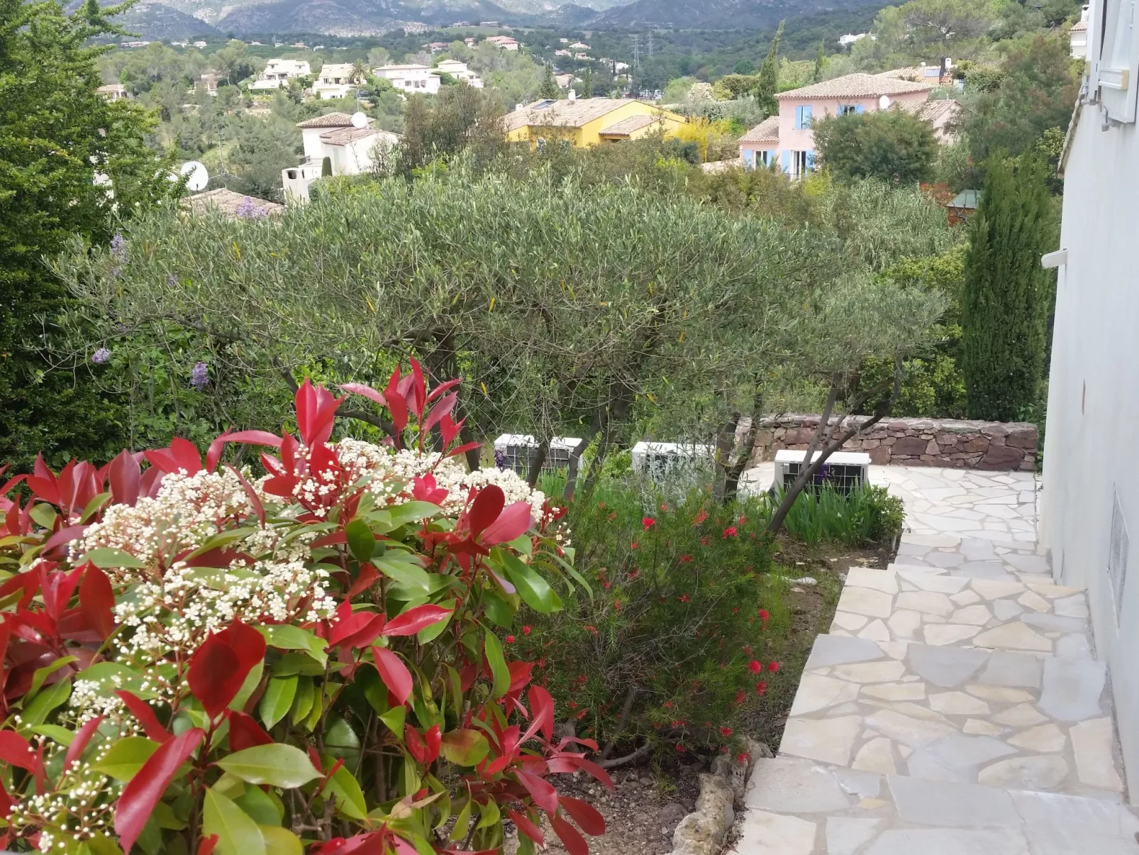 Die Sonne der Côte d'Azur-Image-tags.info