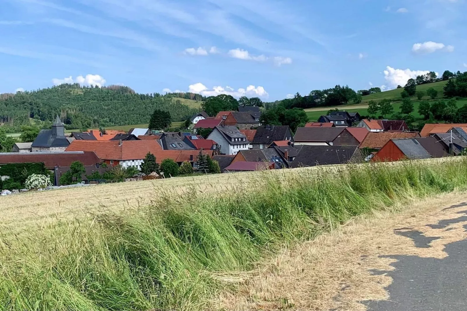 Holzhaus Willingen-Areas summer 1km