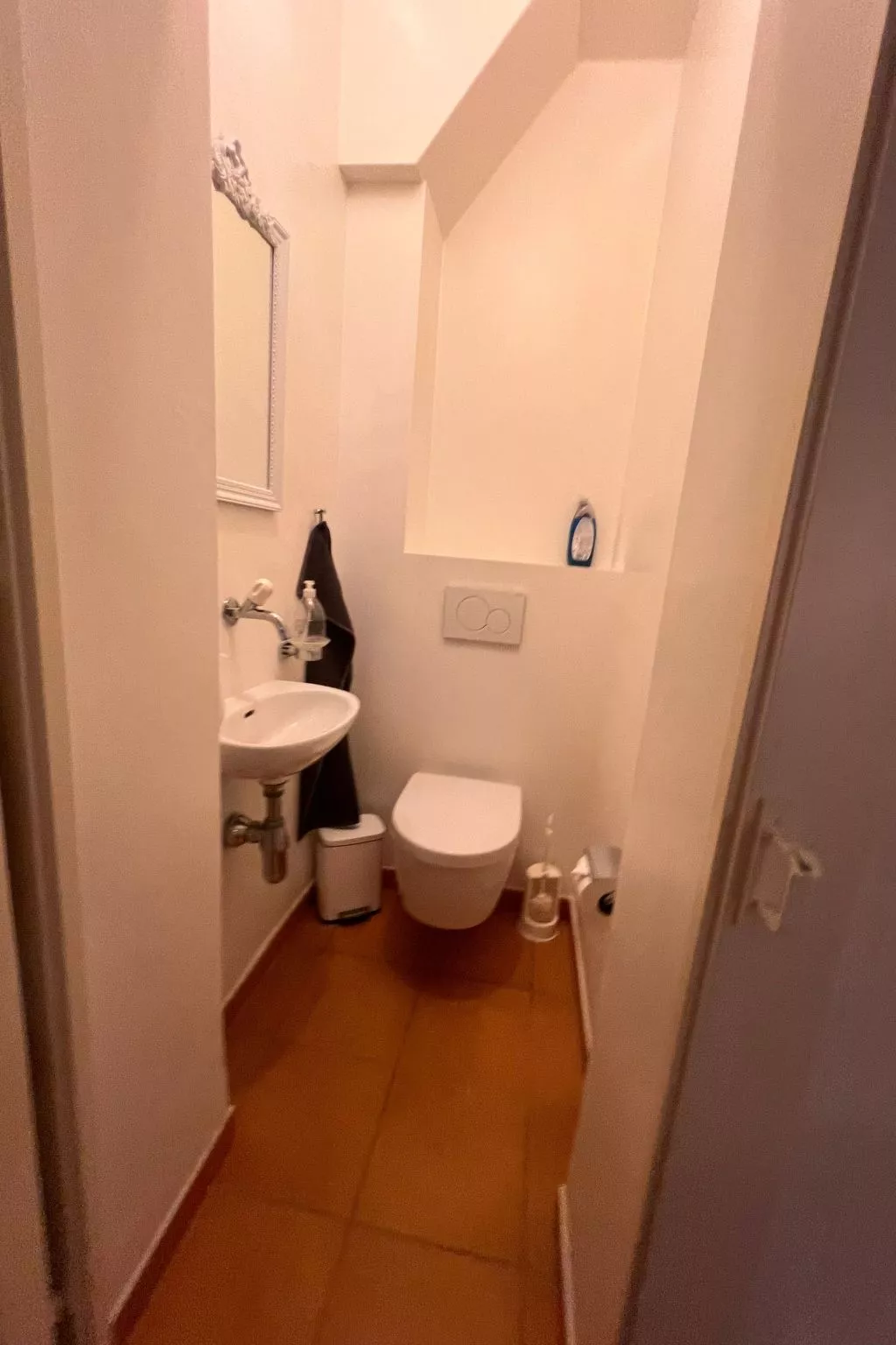 Vigneronne, Vigne-Drinnen