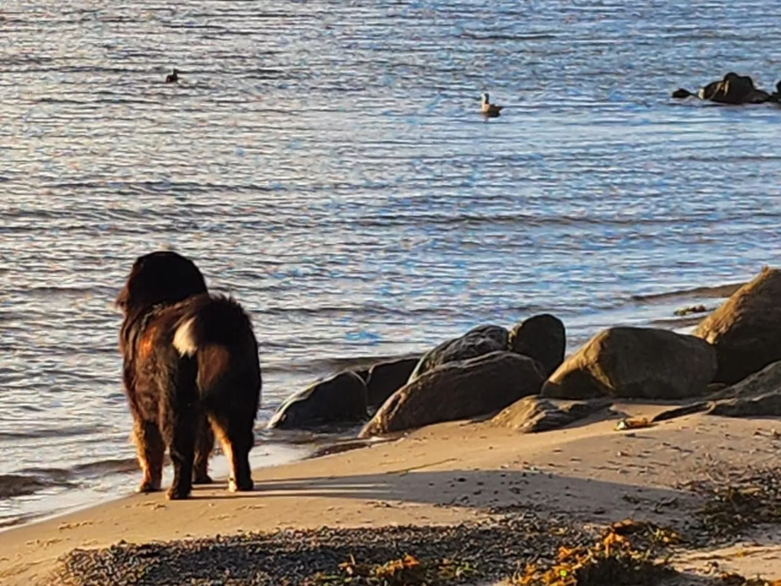 Strandvilla am Meer-Outside
