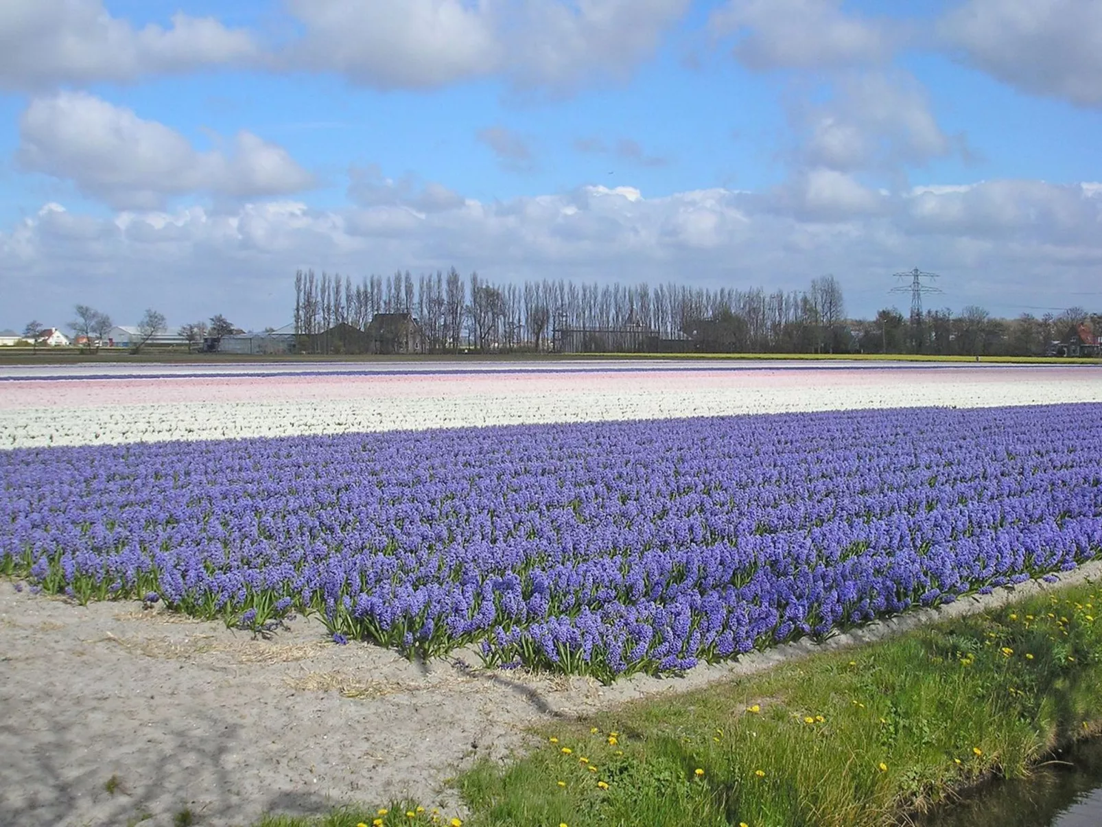 SummerBreak-Draußen