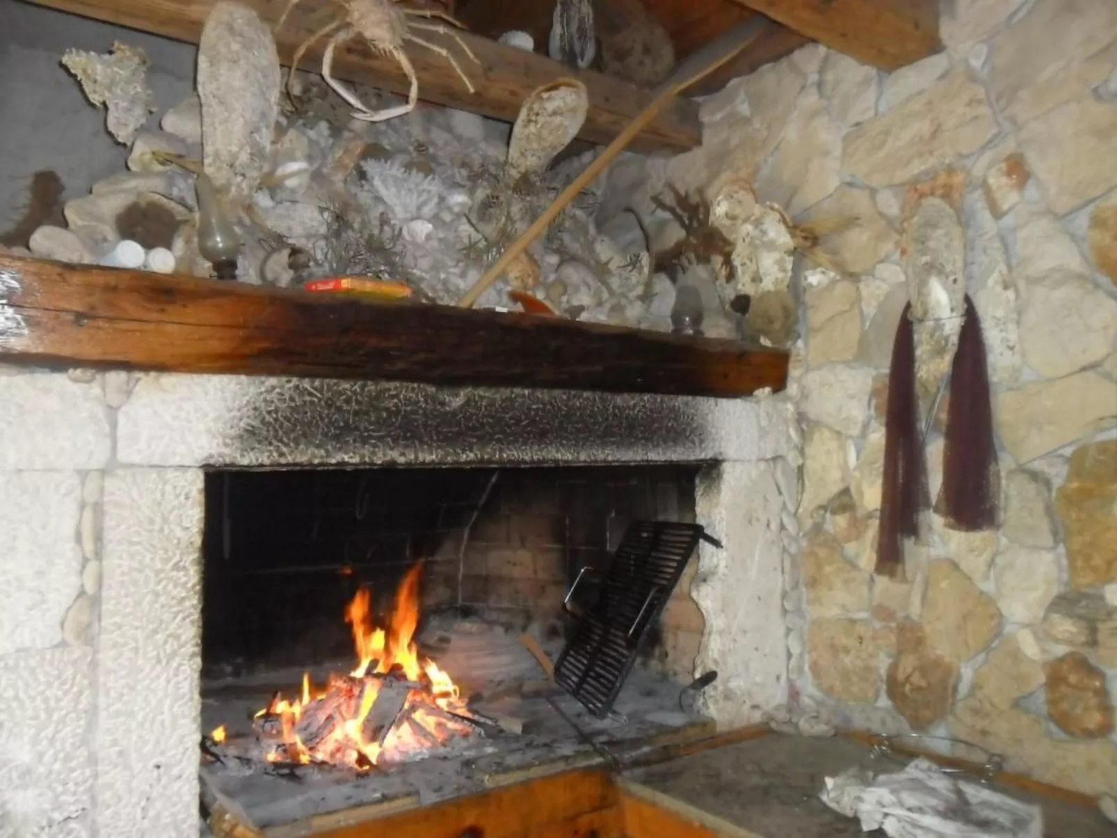 Wohnung Delfin mit Meerblick - TA Leut Agency-Dehors