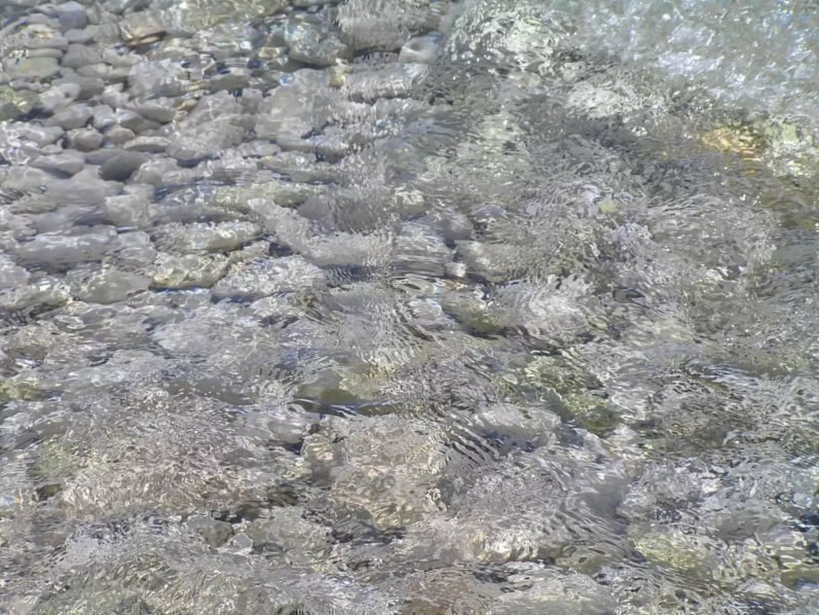 Wohnung mit Balkon und Meerblick-Draußen