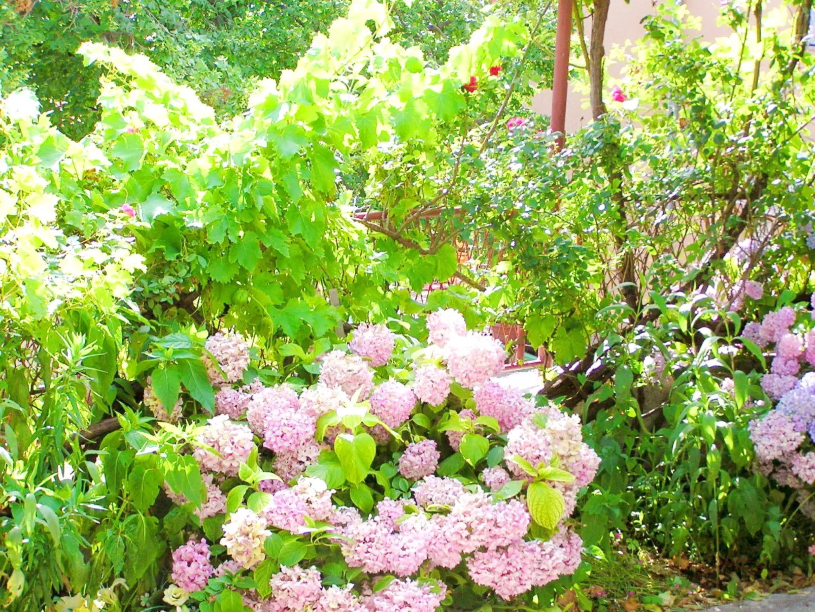 Holiday House Jure-Outside