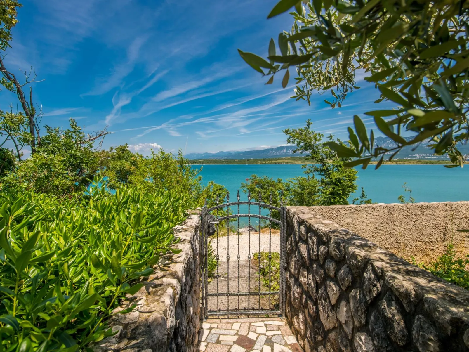 Biserka-Image-tags.info