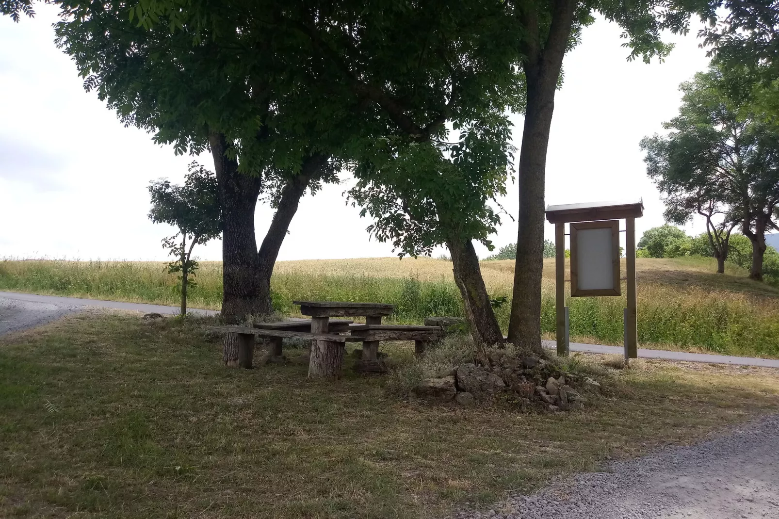 Hohe Rhön-Gebiete Sommer 20 km