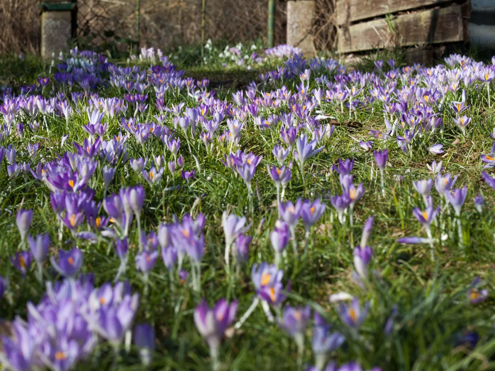 Am Apothekerberg-Draußen