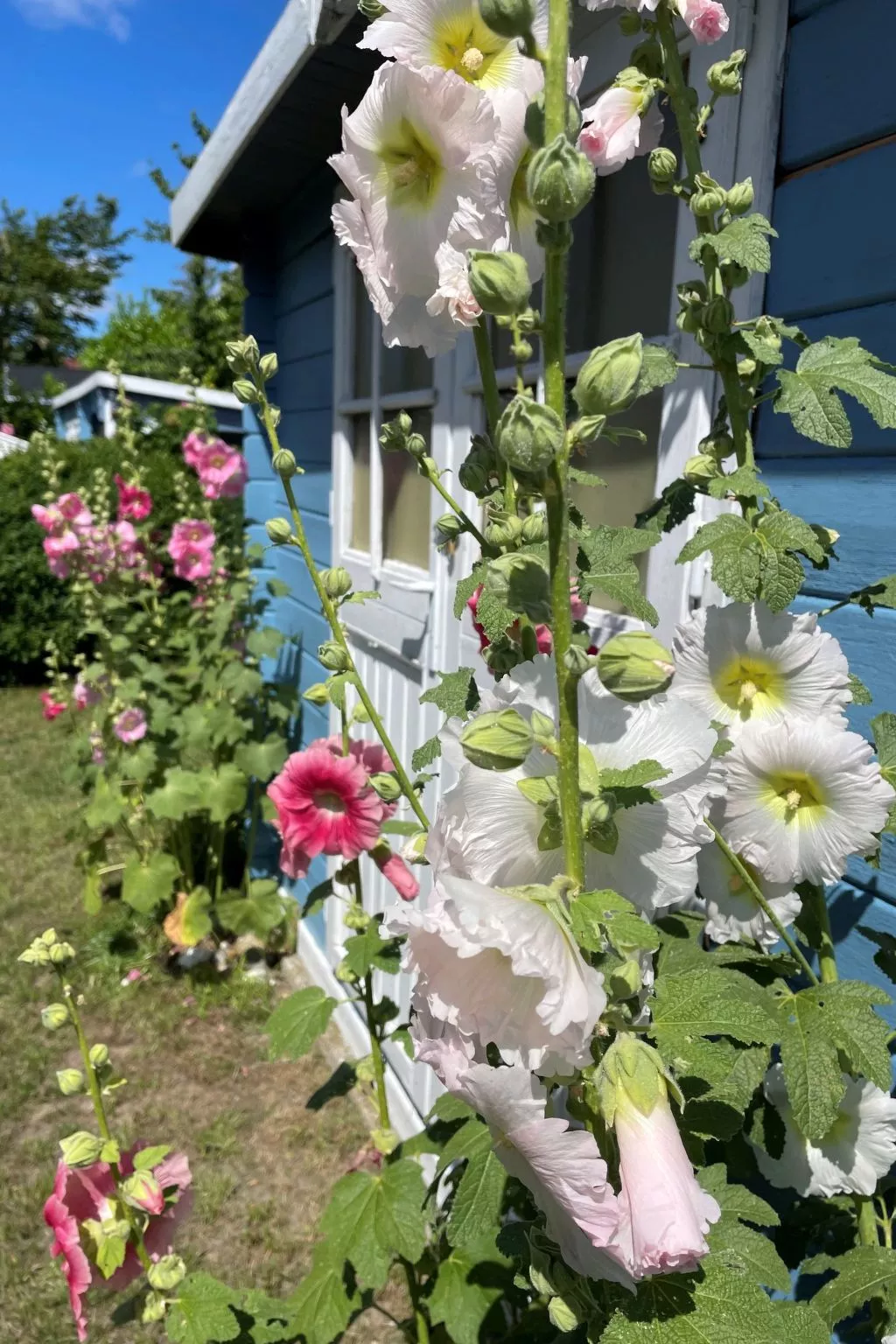 Haus am Meer 3-Dehors