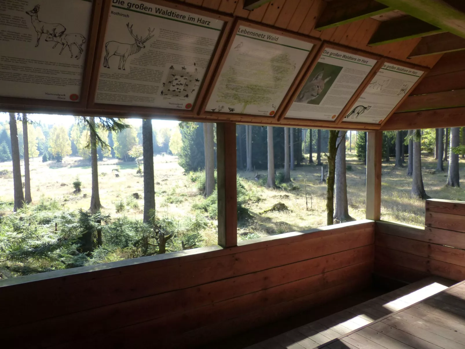 Fewo Harzblick-Outside