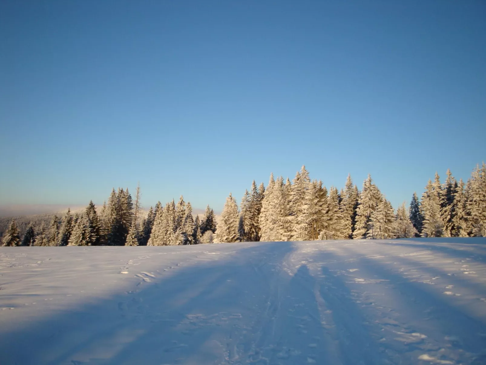 Seitz 2 in Bayerisch Eisenstein-Draußen