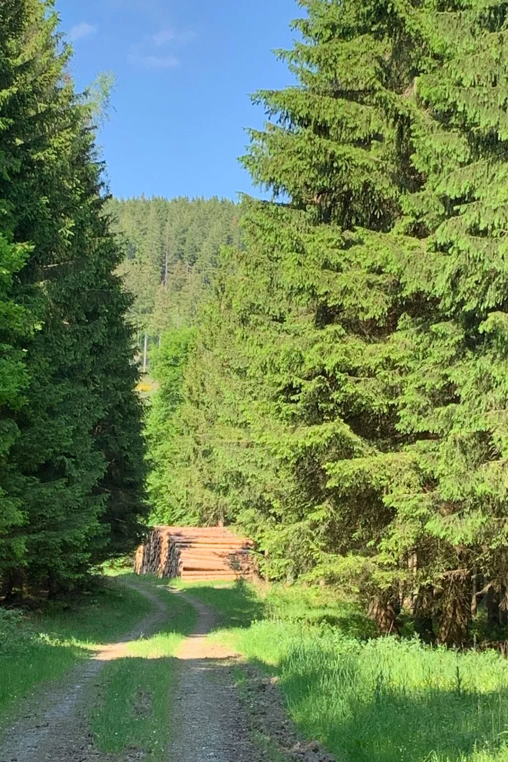 Mit eigener Terrasse-Outside