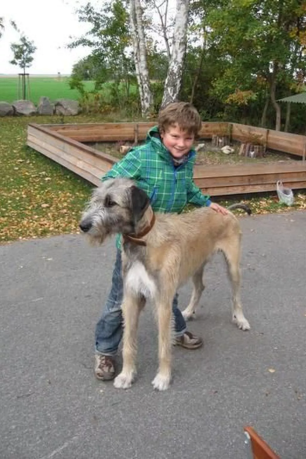 Amsel und Drossel-Dedans